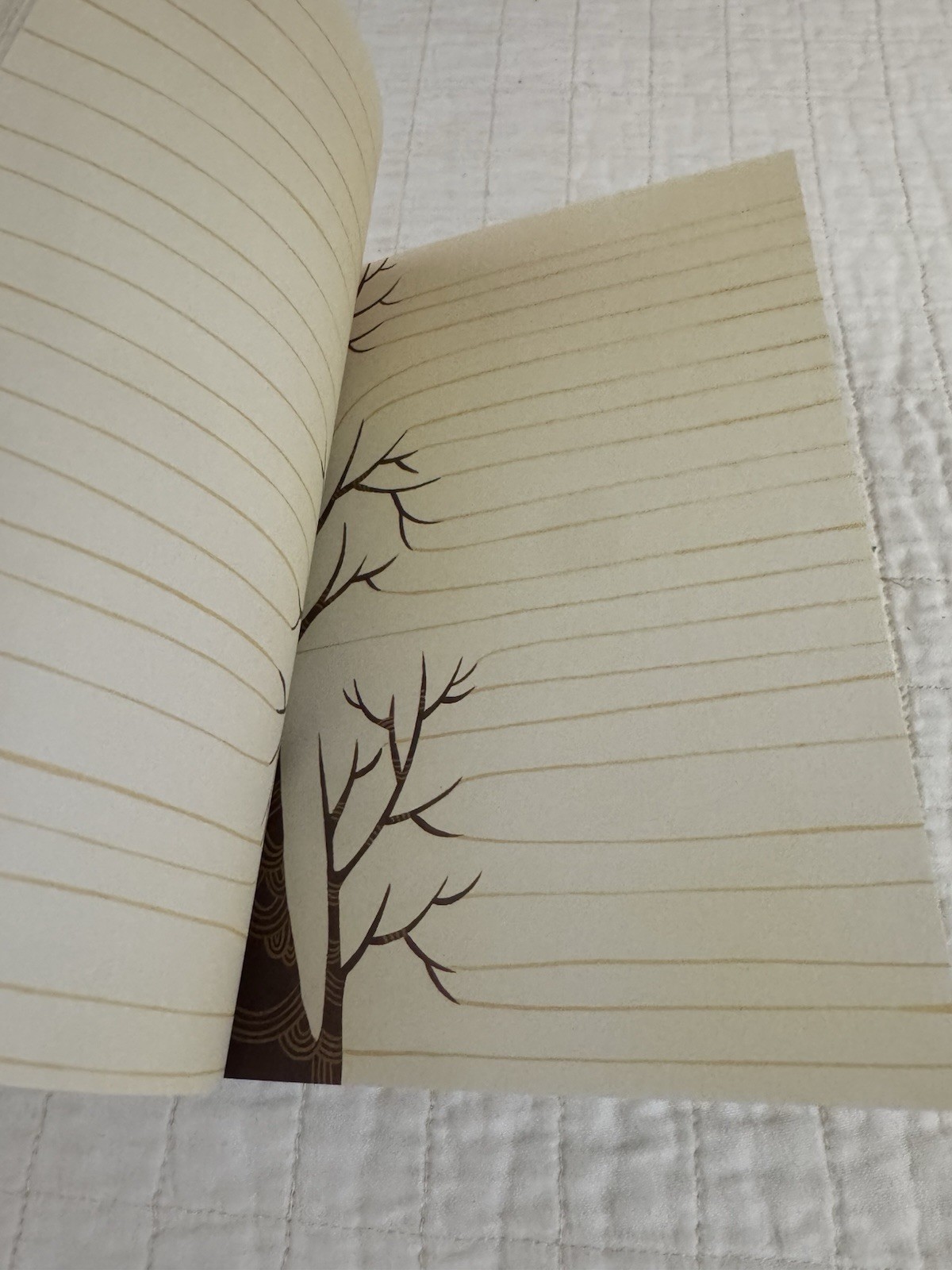 Barnes & Noble Chronicle Books Owl Illustrated Journal Notebook Notepad Unique
