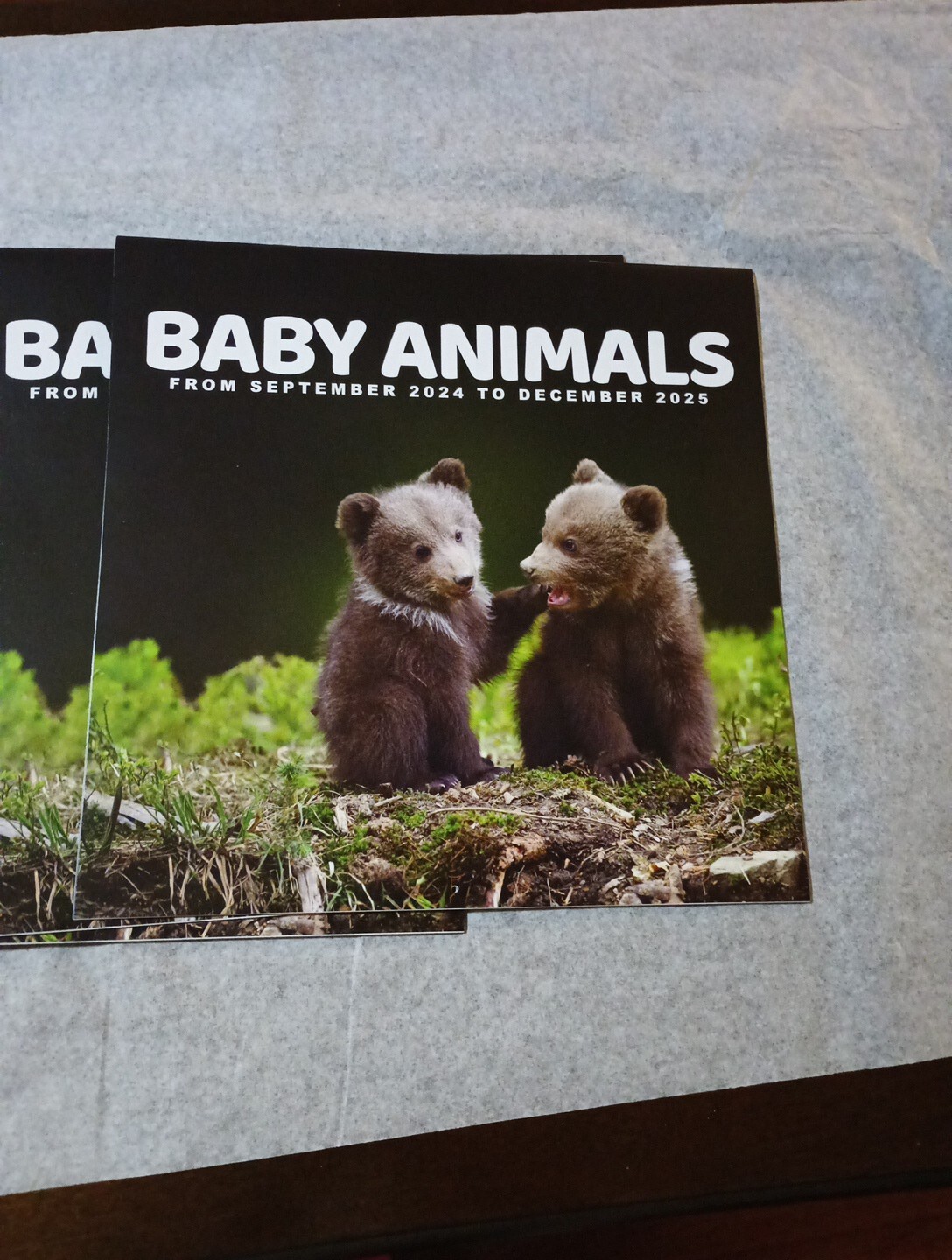 Baby Animals September 2024- December 2025 Wall Calendar to put on wall