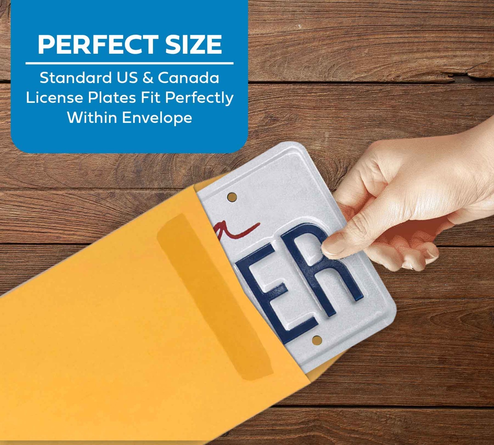 Printed License Plate Envelopes – Self Sealing – Press & Seal (100 per box)