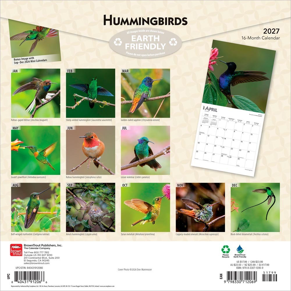 Hummingbirds | 2027 12×24″ (Hanging) Monthly Square Wall Calendar | Plastic-Free