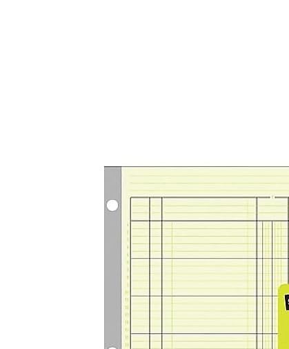 Staples Columnar Book, 12‑Column Accounting Ledger, Green Analysis