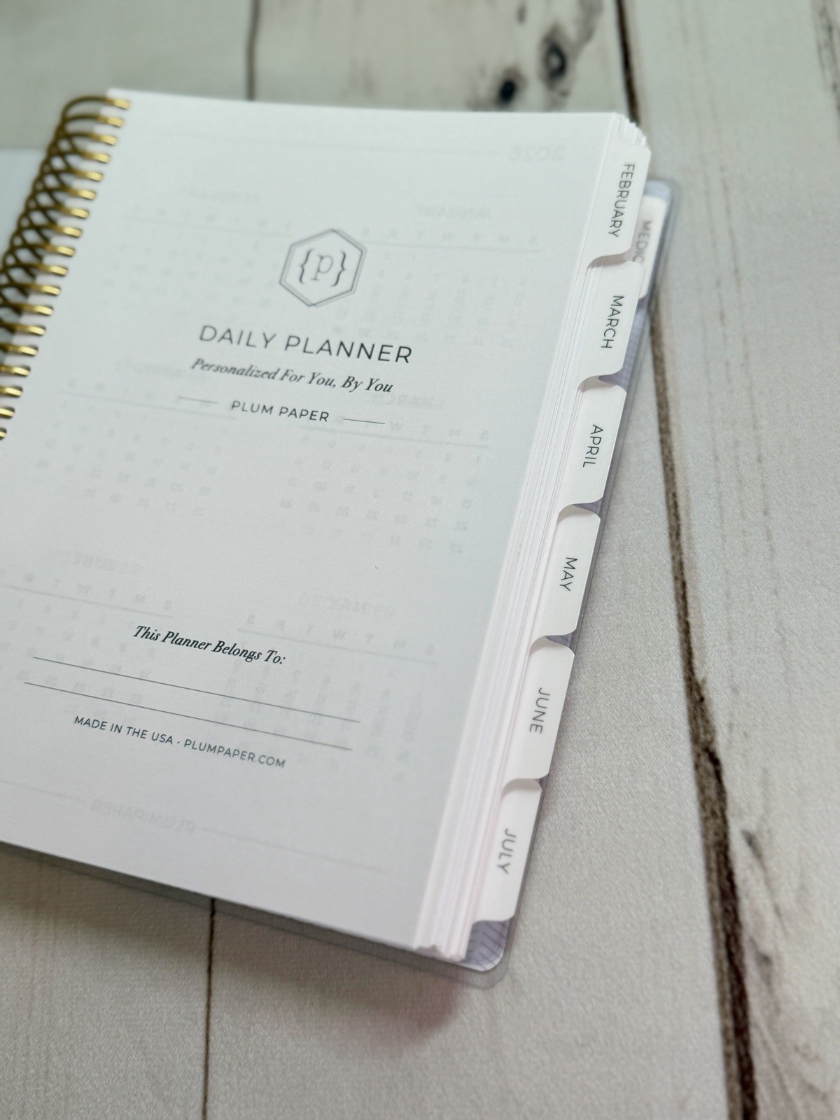 NEW Plum Paper A5 Month Hourly Daily Planner Feb – July 2026 Gold Coil Pink