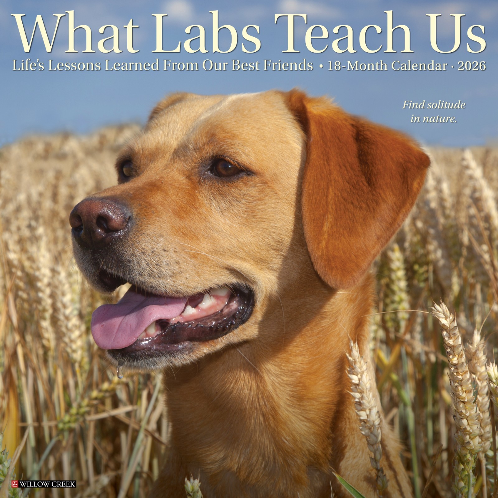 What Labs Teach Us 2026 12″ x 12″ Wall Calendar (free shipping)