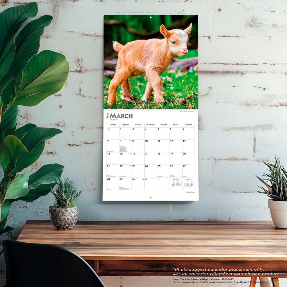 Baby Goats | 2027 12×24″ (Hanging) Monthly Square Wall Calendar | Plastic-Free