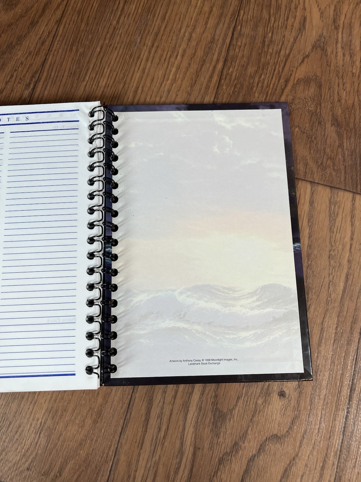VTG Stuart Hall Undated Daily Planner 90 Daily Pages 9 1/2 x 6 In Orca Whales