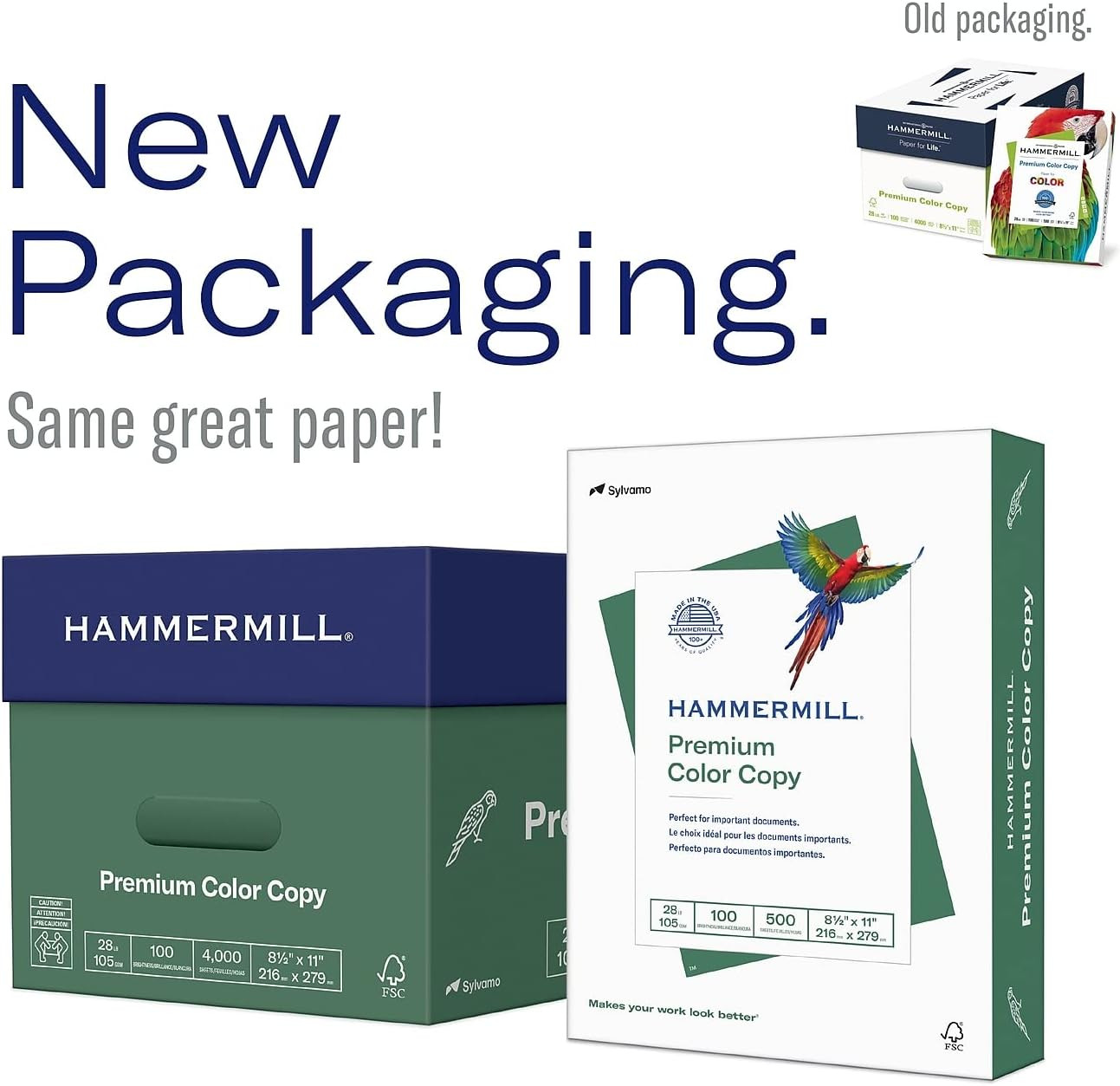 Printer Paper, Premium Color 32 Lb Copy Paper, 8.5 X 11-1 Ream (500 Sheets) – 10