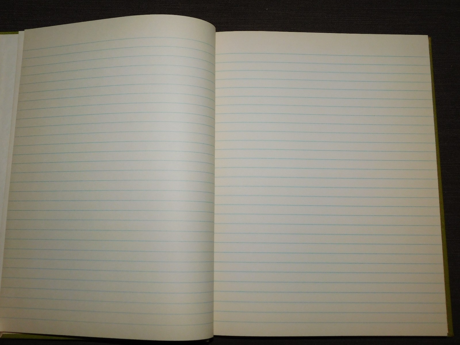 VINTAGE FEDERAL SUPPLY SERVICE RECORD BOOK 10 1/2″ X 8″ UNUSED NEW OLD STOCK