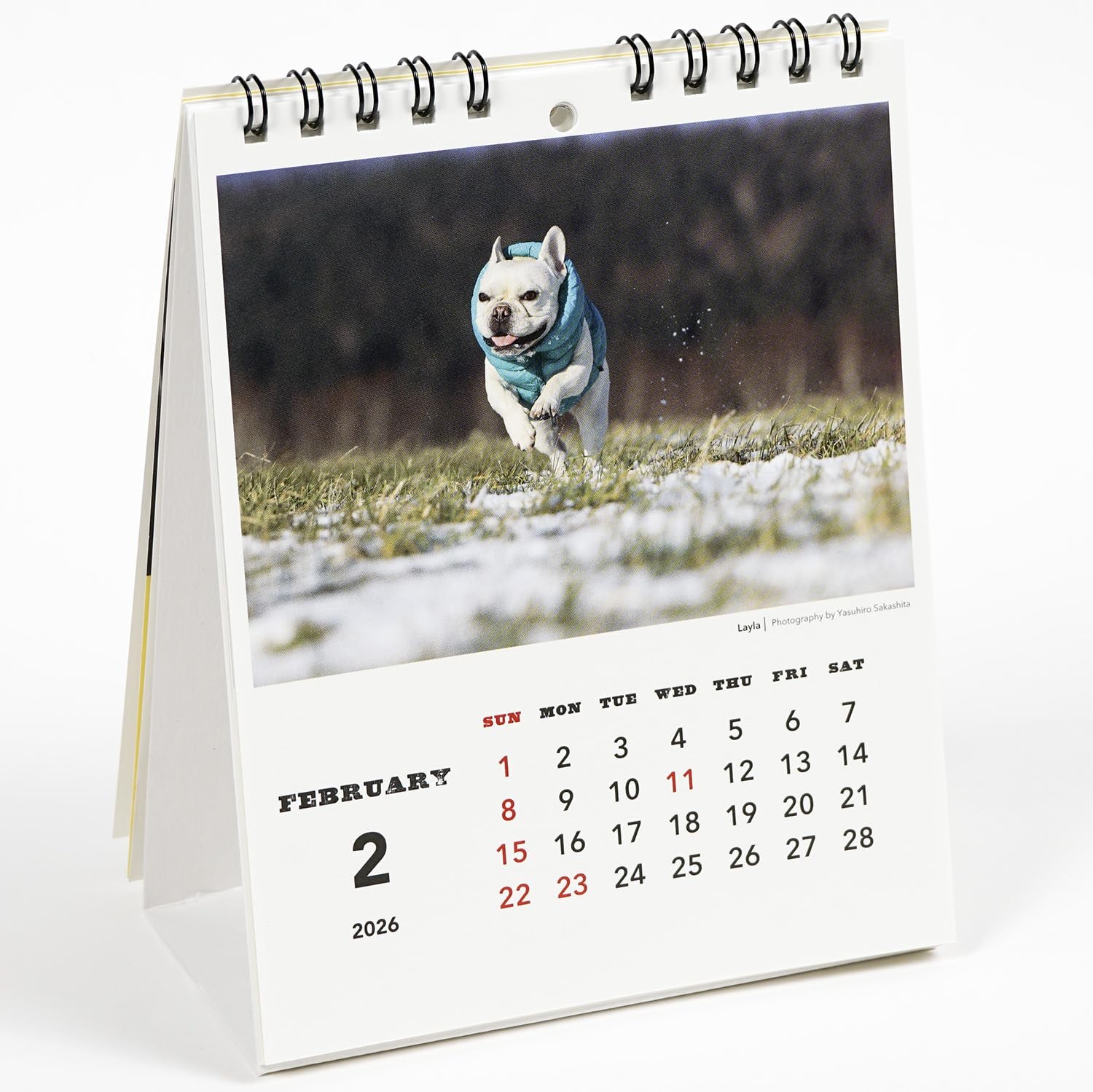 GreetingLife 2026 Calendar Natsuhiko Family C-1690-NA