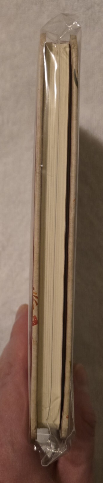 Hedgehogs on cover lined journal 160 pages NEW IN PLASTIC hardcover