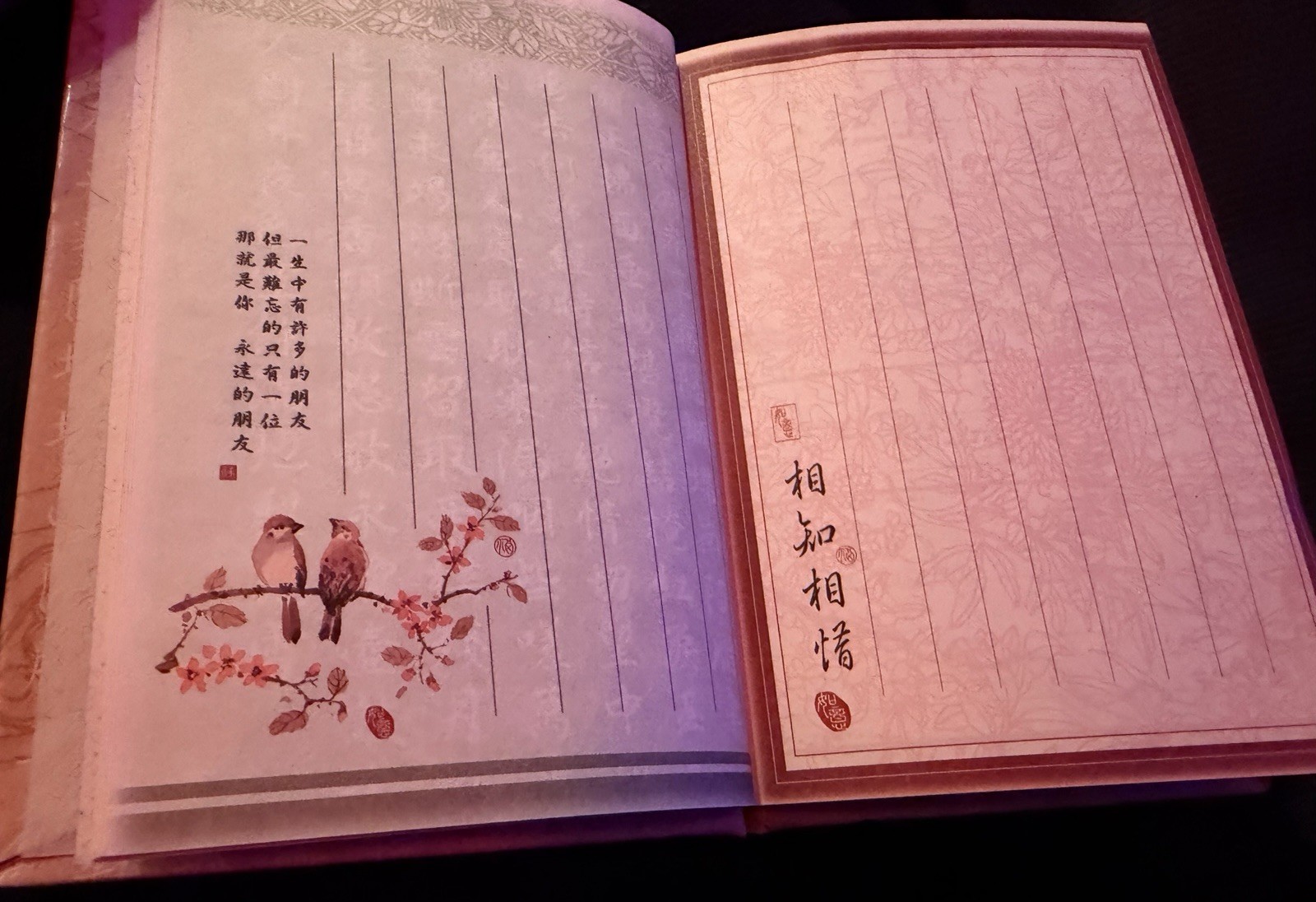 Beautifully Illustrated Chinese Blank Journal CL85301