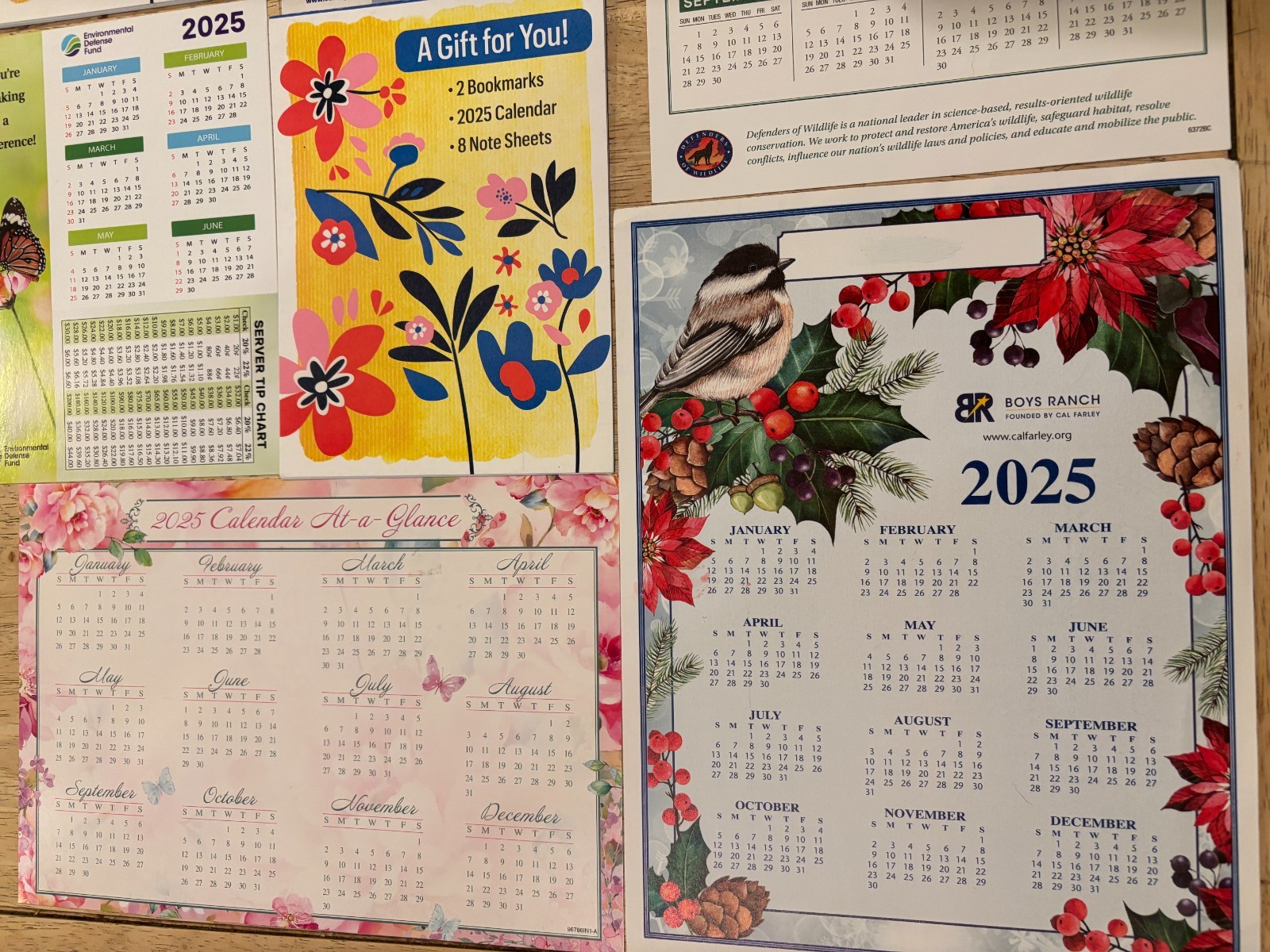 Pocket Calendars & Cards – Lot of 14 – 2025 – 12-Months – Various Charities