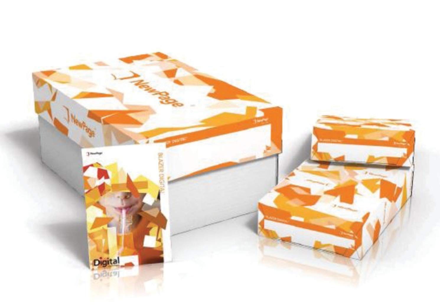 Limited Papers (TM) Digital Paper, Gloss, Coated 2 Sided (12″x18″ 100# Cover)