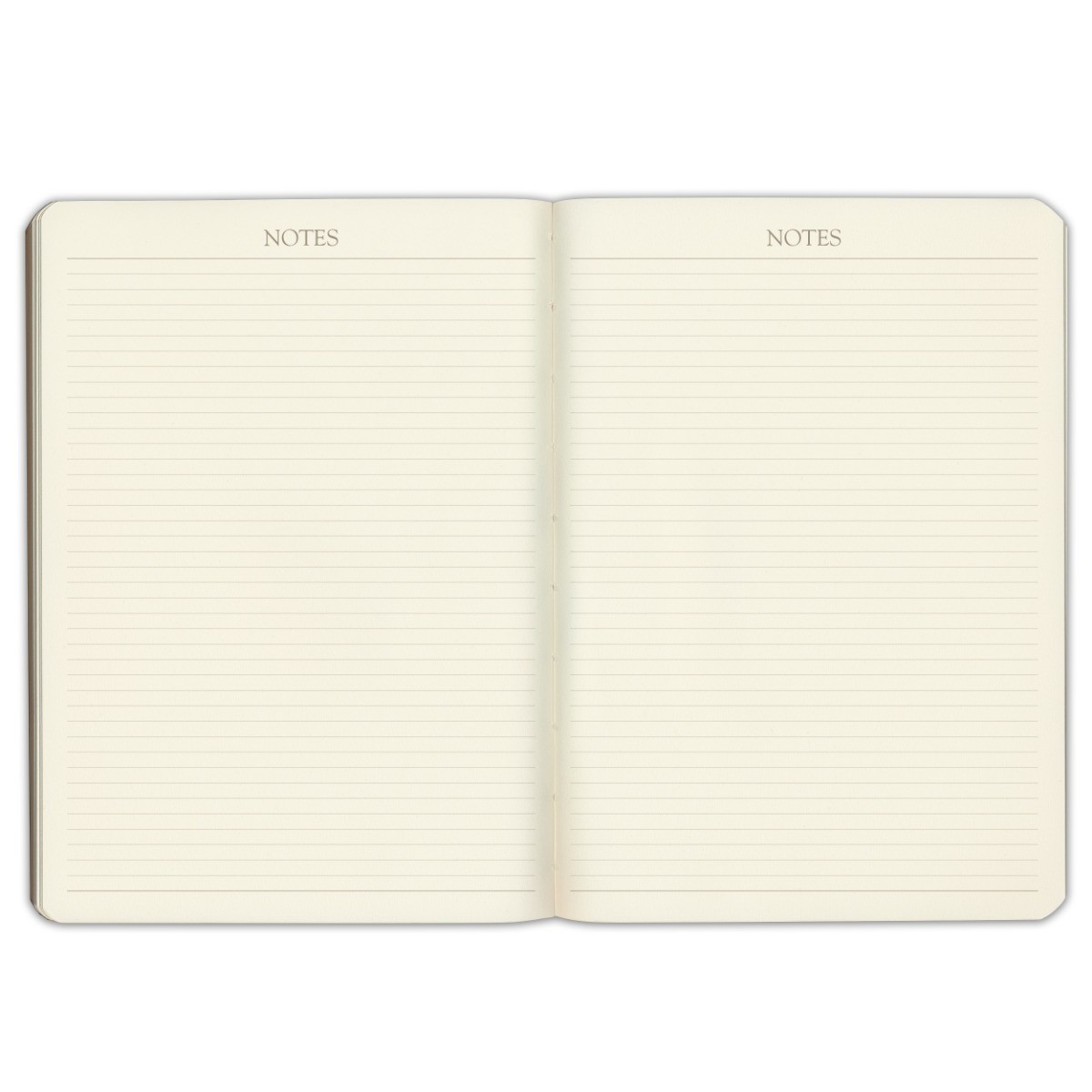 Gallery Leather Desk Monthly Planner 2025-2026, Elegantly Bound Calendar Plan…