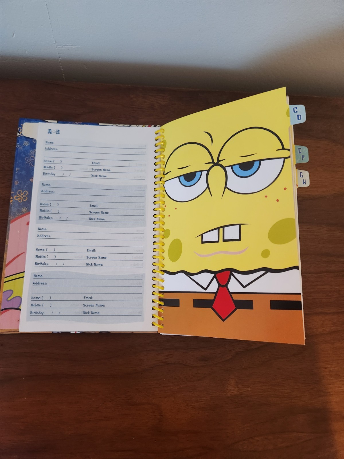 SpongeBob SquarePants Vintage Address Book Nickelodeon 2004 Patrick Viacom Y2k