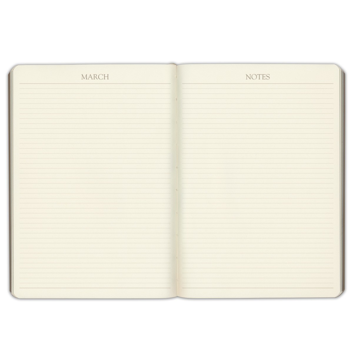 Gallery Leather Desk Monthly Planner 2025-2026, Elegantly Bound Calendar Plan…