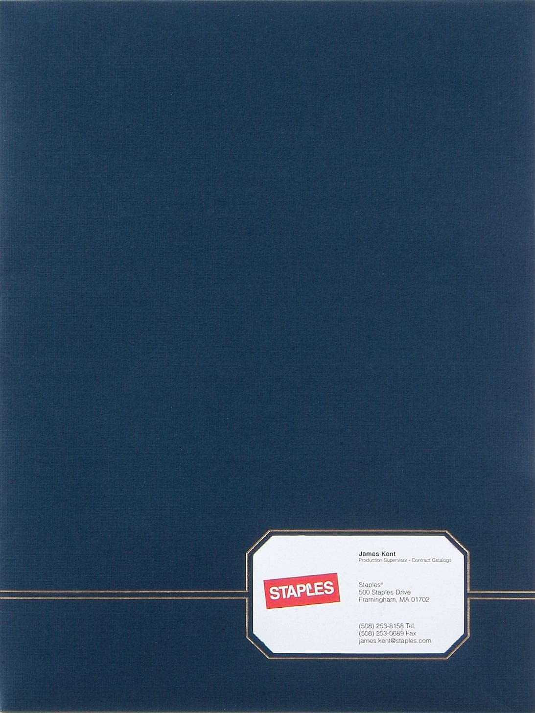 Elegant Blue Gold Twin Pocket Folders 4 Pack 80 Sheet Capacity Premium Look