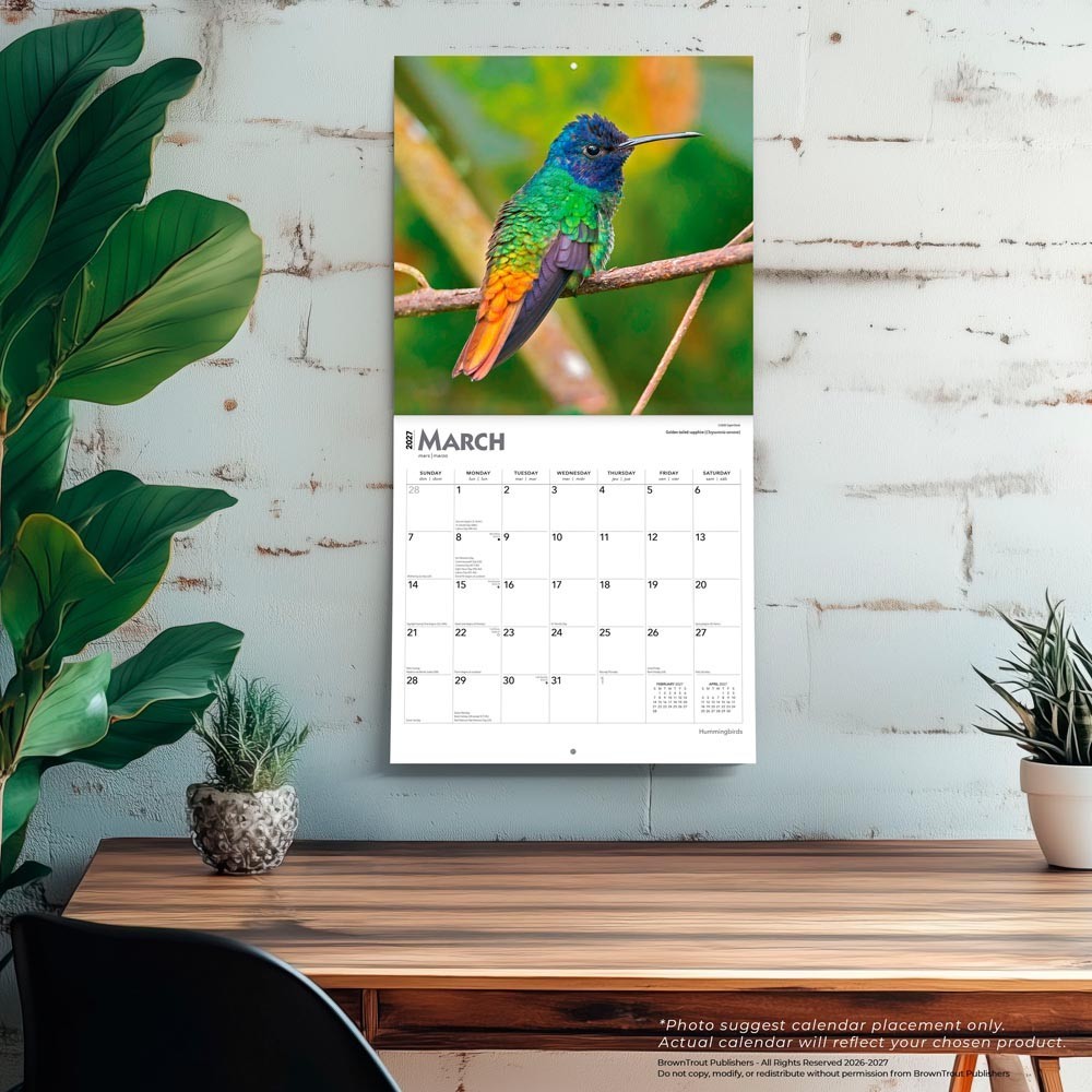 Hummingbirds | 2027 12×24″ (Hanging) Monthly Square Wall Calendar | Plastic-Free