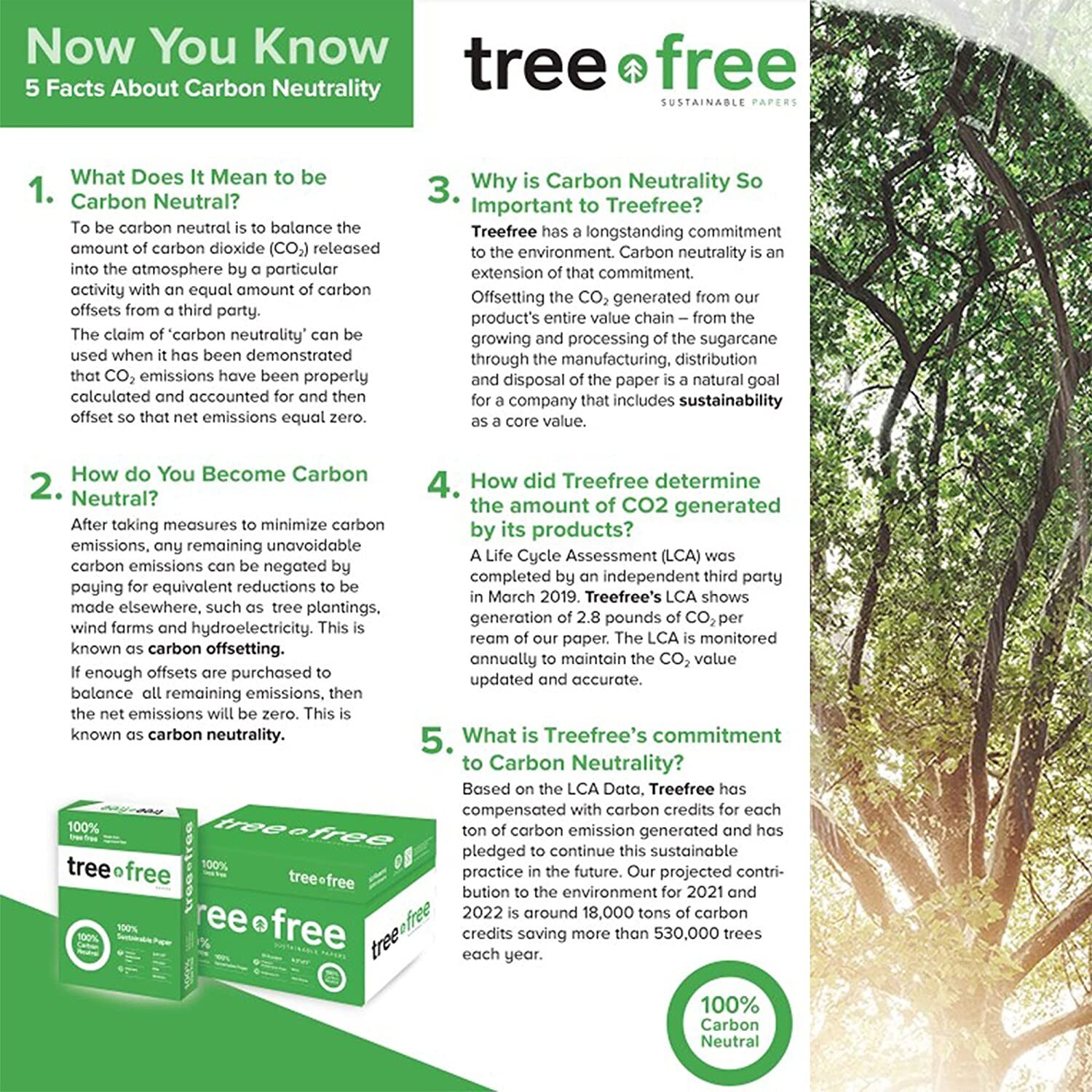 Tree Free Copy Paper, 20 LB, 8.5″ x 11″, 92 Bright 10 Ream/5,000 Sheet Carton