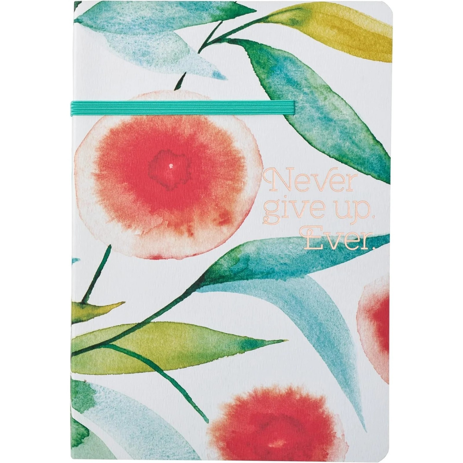 Never Give Up Heartfelt Inspirational Journal 256 Pages Blank
