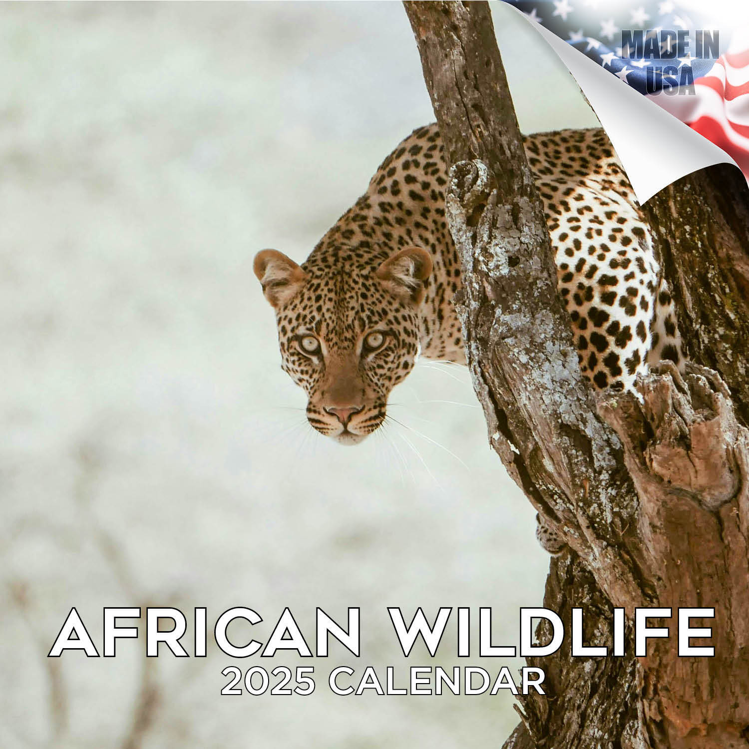 African Wildlife Calendar 2025 FULL SIZE 12×24 Made in USA