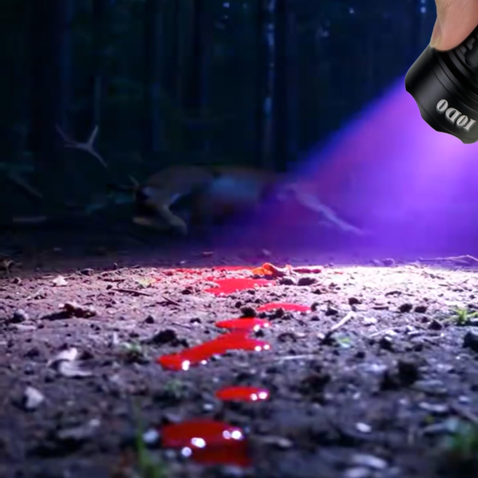 Ausbond Blood 6.0 Inches X 1.5 Inches, Tracking Flashlight For Hunting