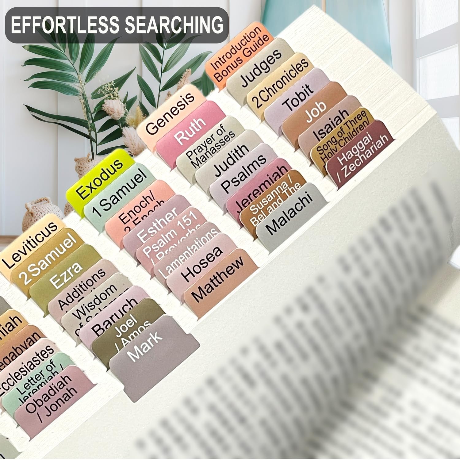 Ethiopian Bible Tabs English 72 Color Coded Laminated 70 Books Chapter Placement