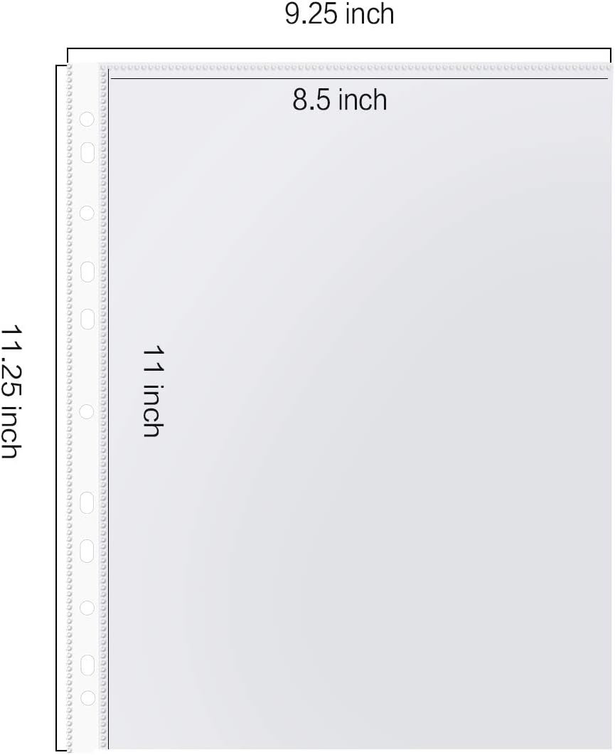 Sheet Protectors, 500 Pack Clear Heavy Duty Plastic Page Protectors Sheet Reinf