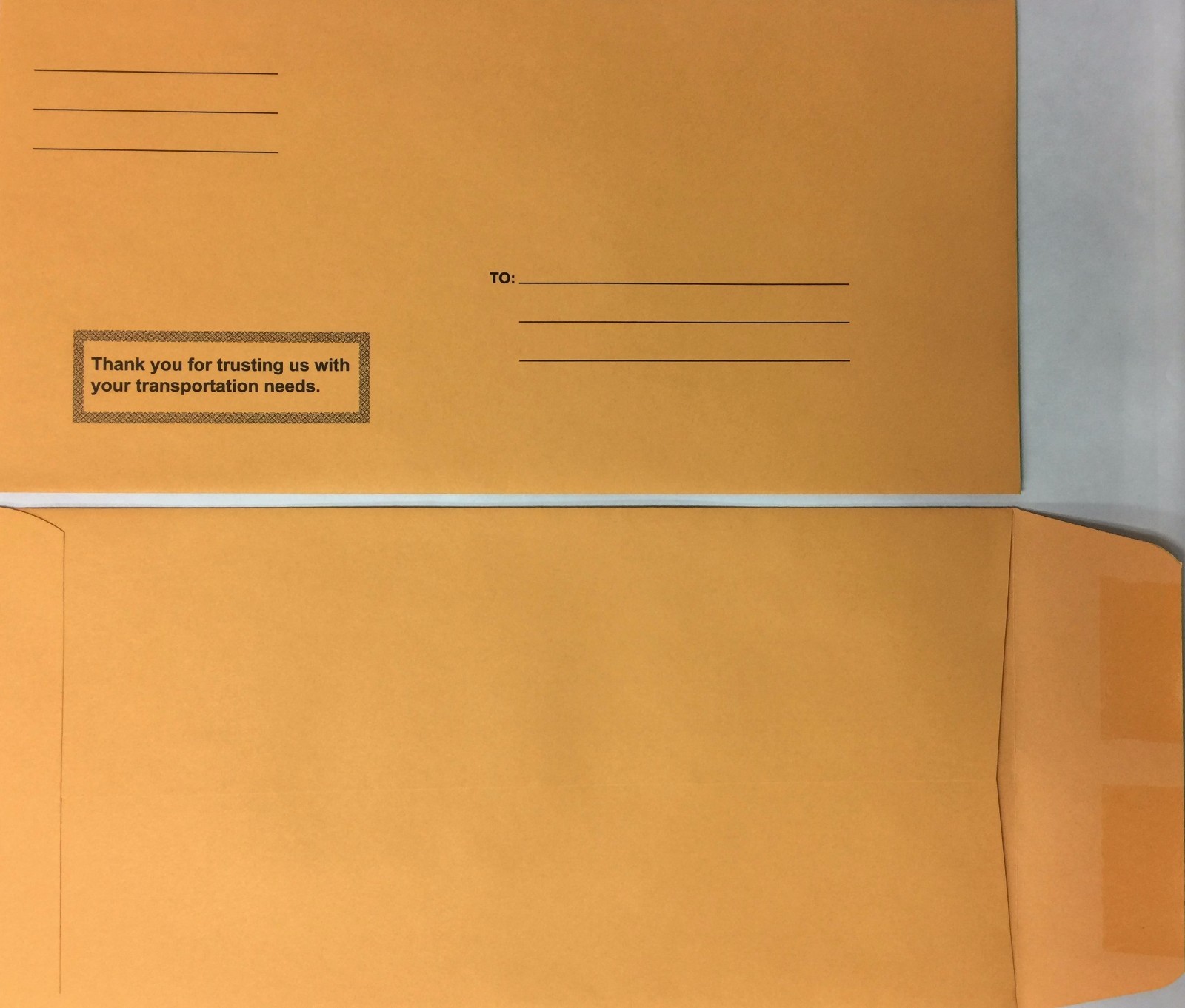 Moist and Seal Imprinted License Plate Envelope 100 Qty per box (R78M)