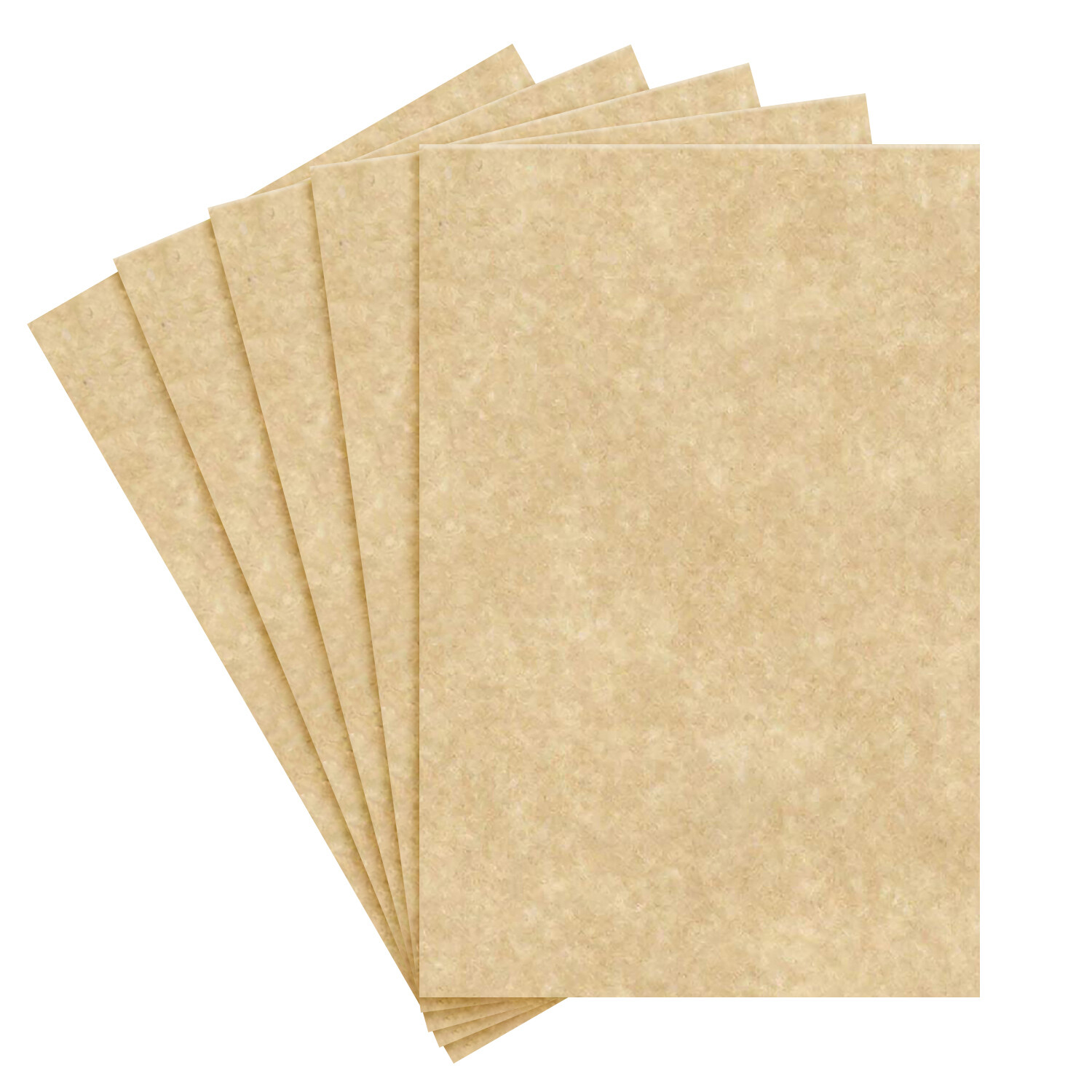 23 x 35″ Large Size Parchment Card Stock Paper, 65lb Cover (176GSM), 5 per Pack