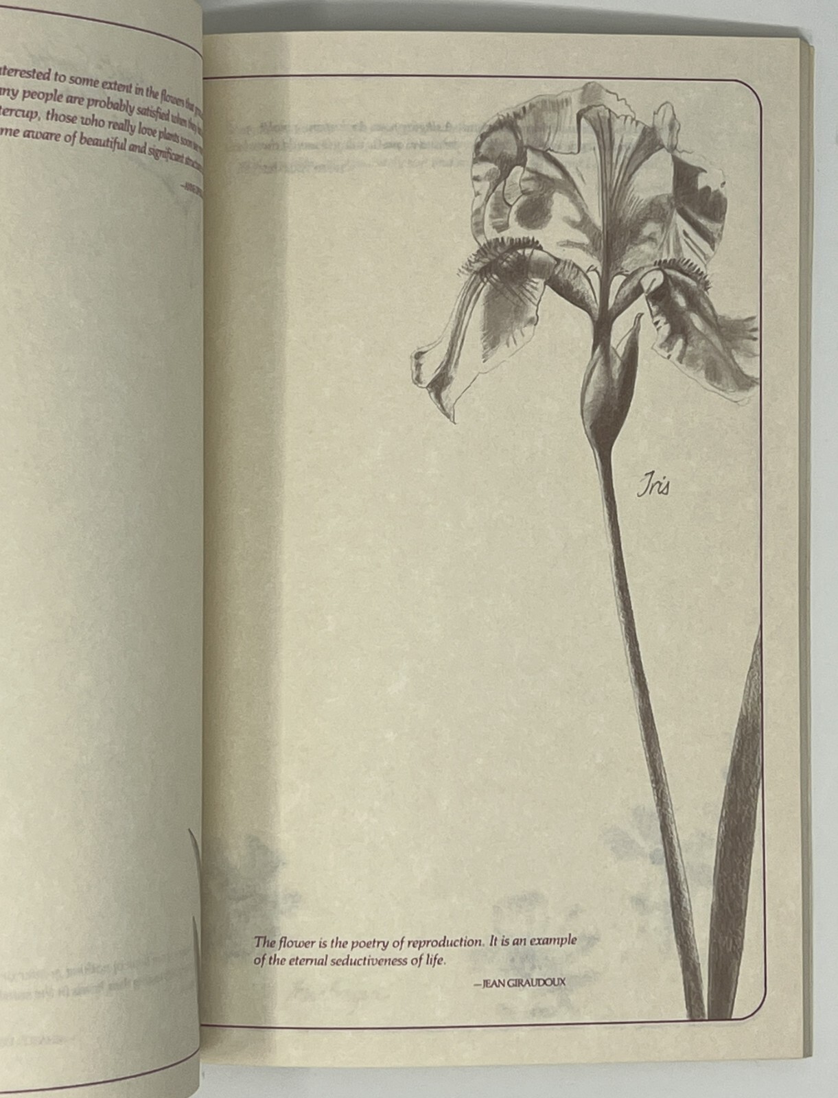 Flower Notebook: Illustrated Journal w/ Space for Notes – 1985 PB Running Press
