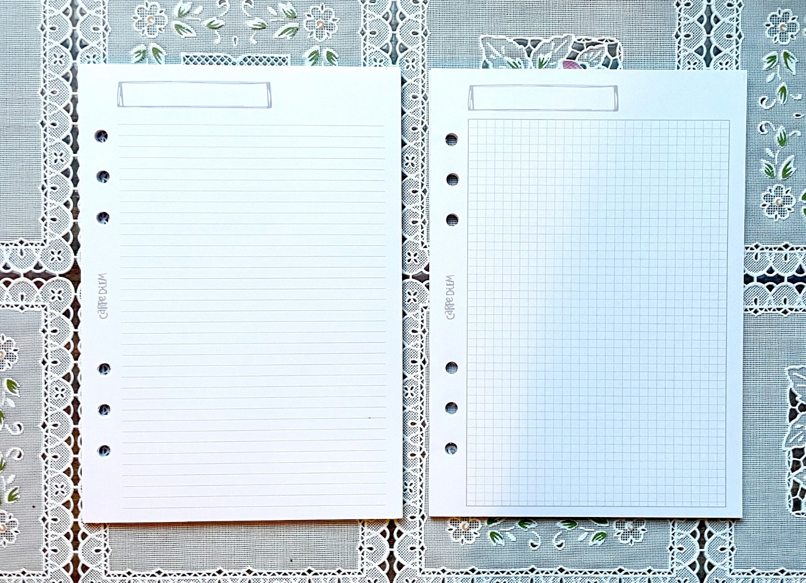 Carpe Diem Basic Notes – A5 Lined and Grid Inserts – 36 Sheets