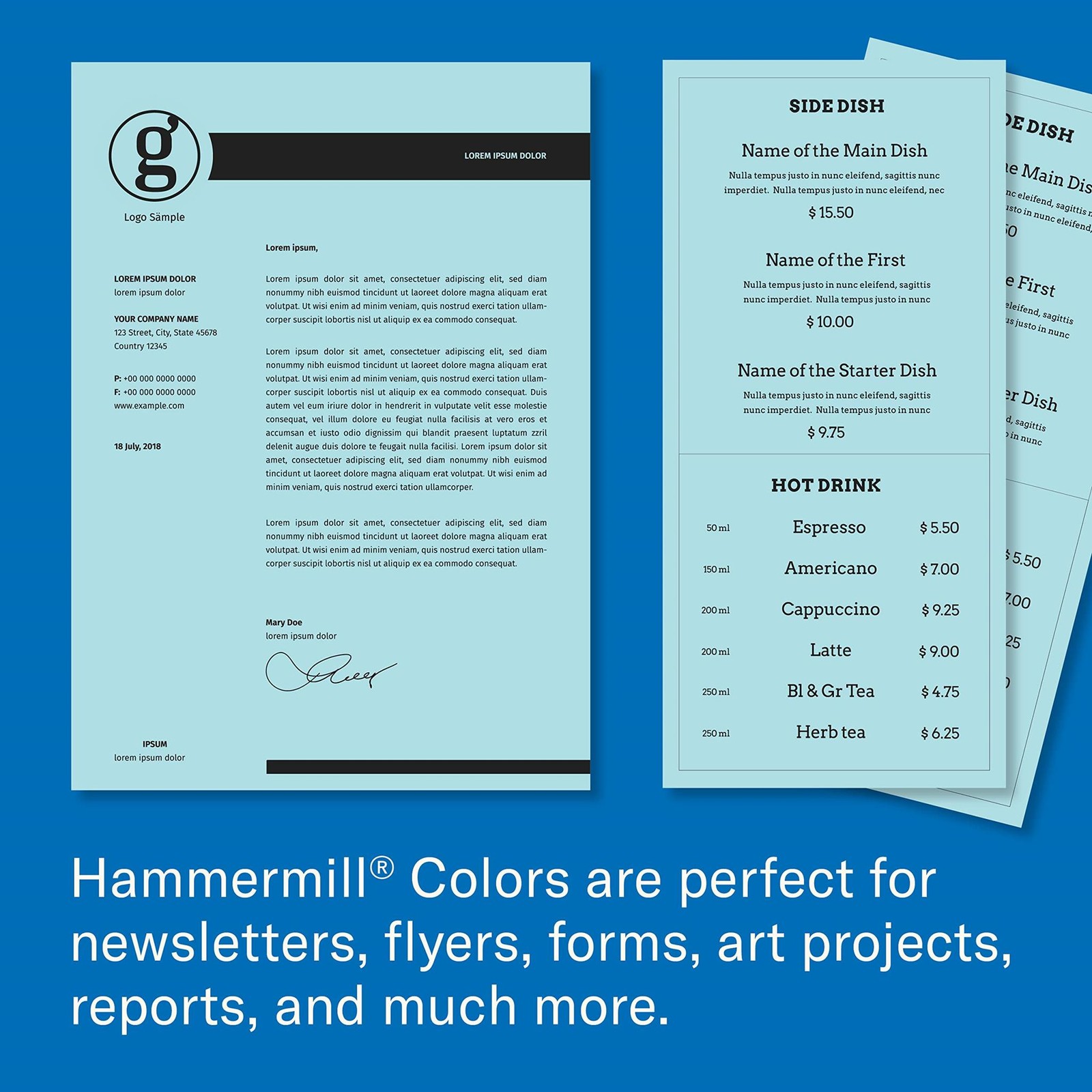 Hammermill Colored Paper, 20 lb Blue Printer Paper, 3 Hole – 10 Ream (5,000 Shee