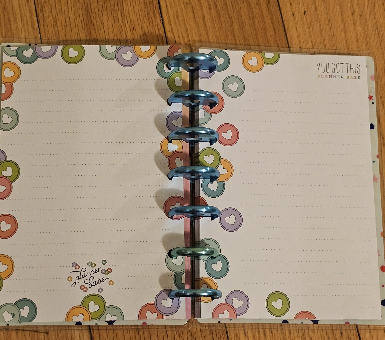 Metal Disc Mini The Happy Planner Fitness Notebook Planner Babe Habit Tracker