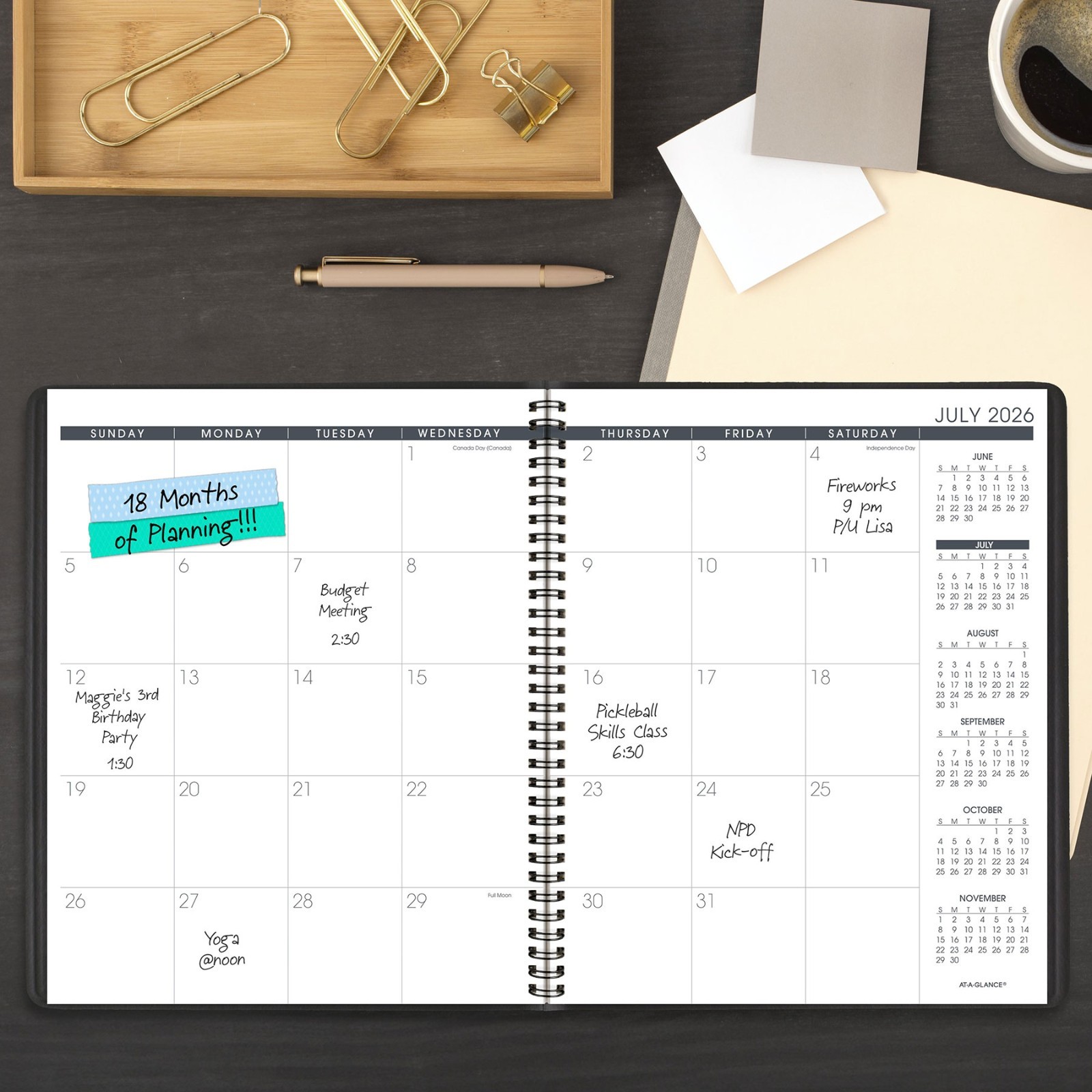 At-A-Glance 2026-2027 70-074-05 Academic Monthly Planner, 9 x 11″