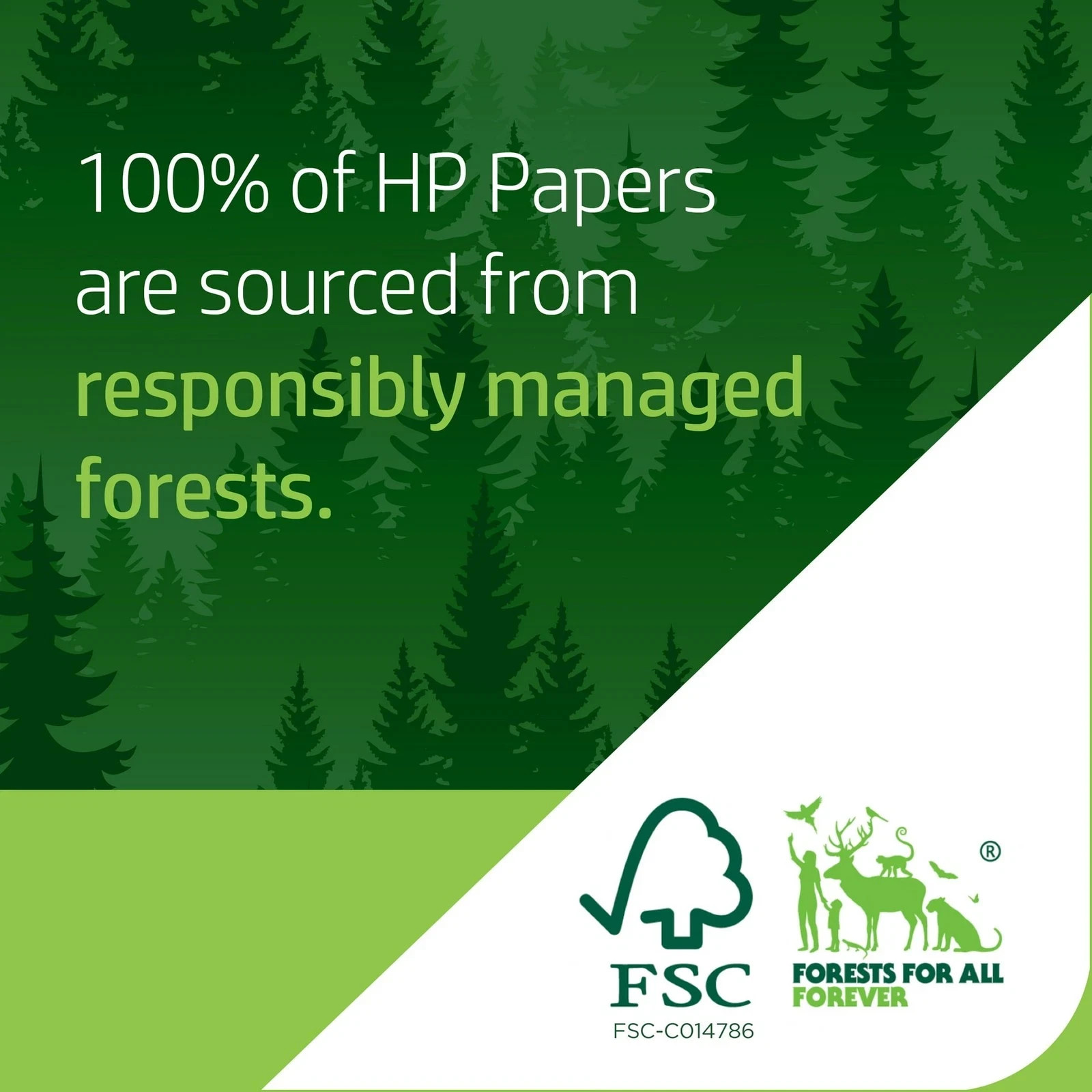 HP Printer Paper 8.5 x 11 Paper Copy &Print 20 lb 1 Ream Case – 500 Sheets