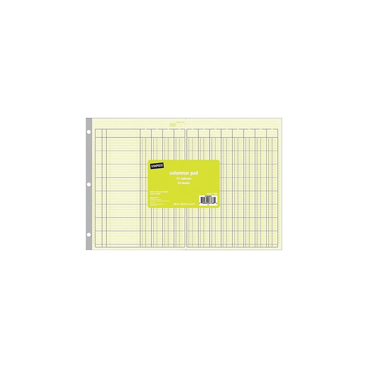 Staples Columnar Book, 12‑Column Accounting Ledger, 11 x 16.31 inches, Green