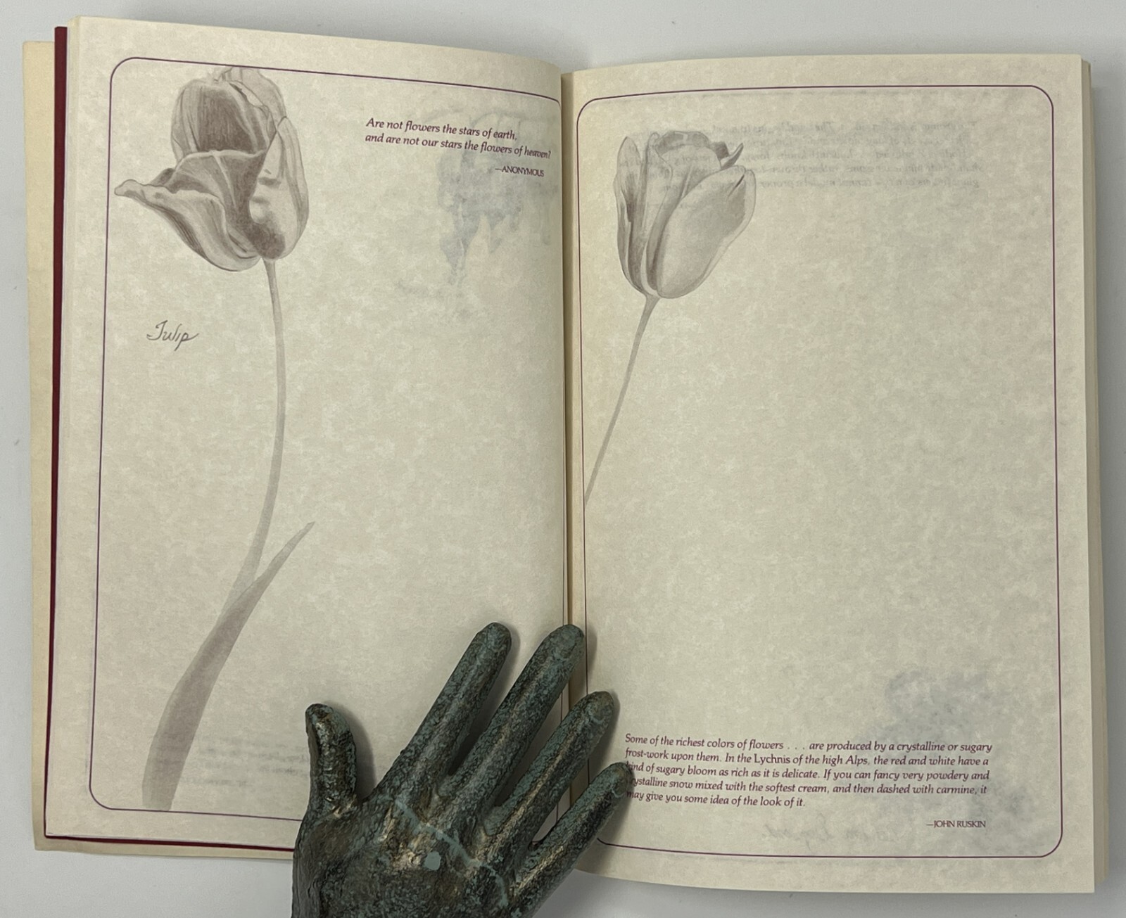 Flower Notebook: Illustrated Journal w/ Space for Notes – 1985 PB Running Press