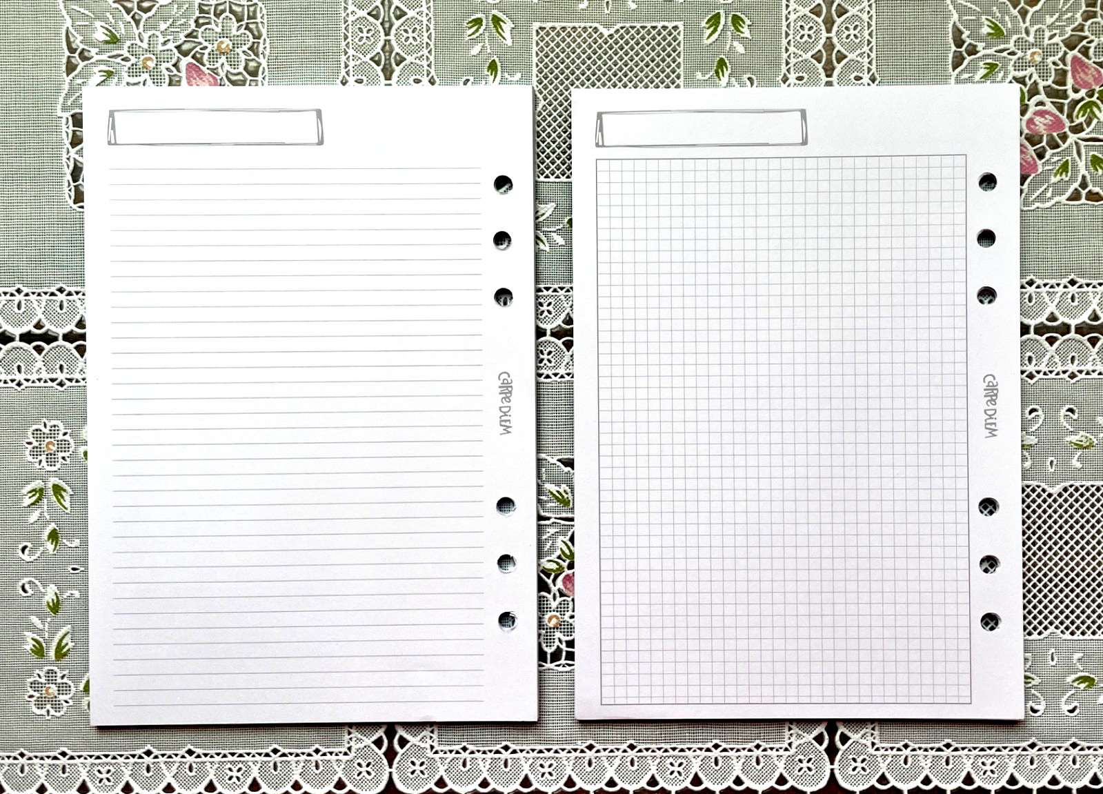 Carpe Diem Basic Notes – A5 Lined and Grid Inserts – 36 Sheets