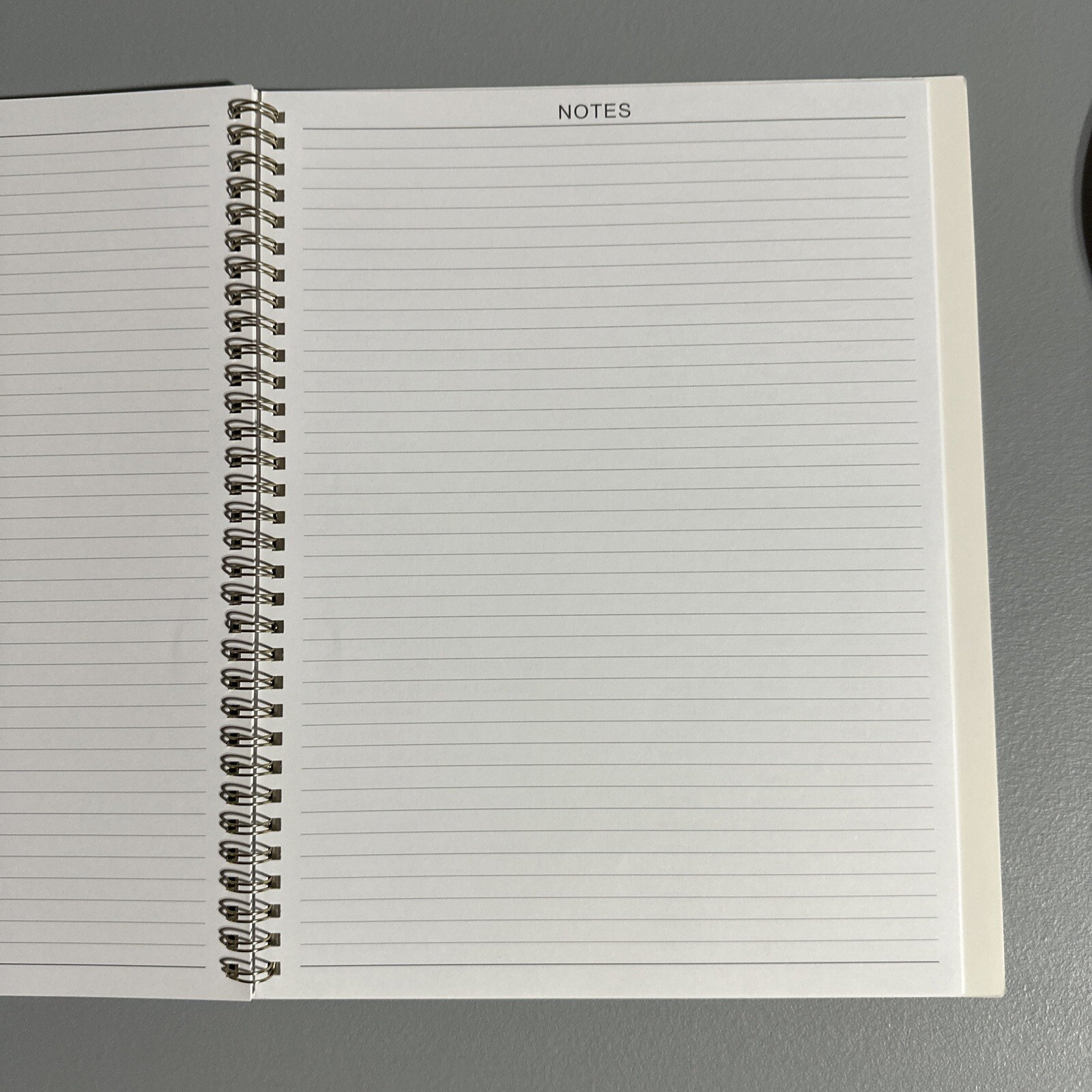 2022 Academic Calendar Planner Blue Gold Marble Glitter Weekly-Monthly 11″x8.5″