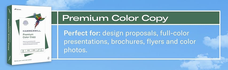 Printer Paper, Premium Color 28 lb Copy Paper, 11 x 17-100 Bright, Made in the ,