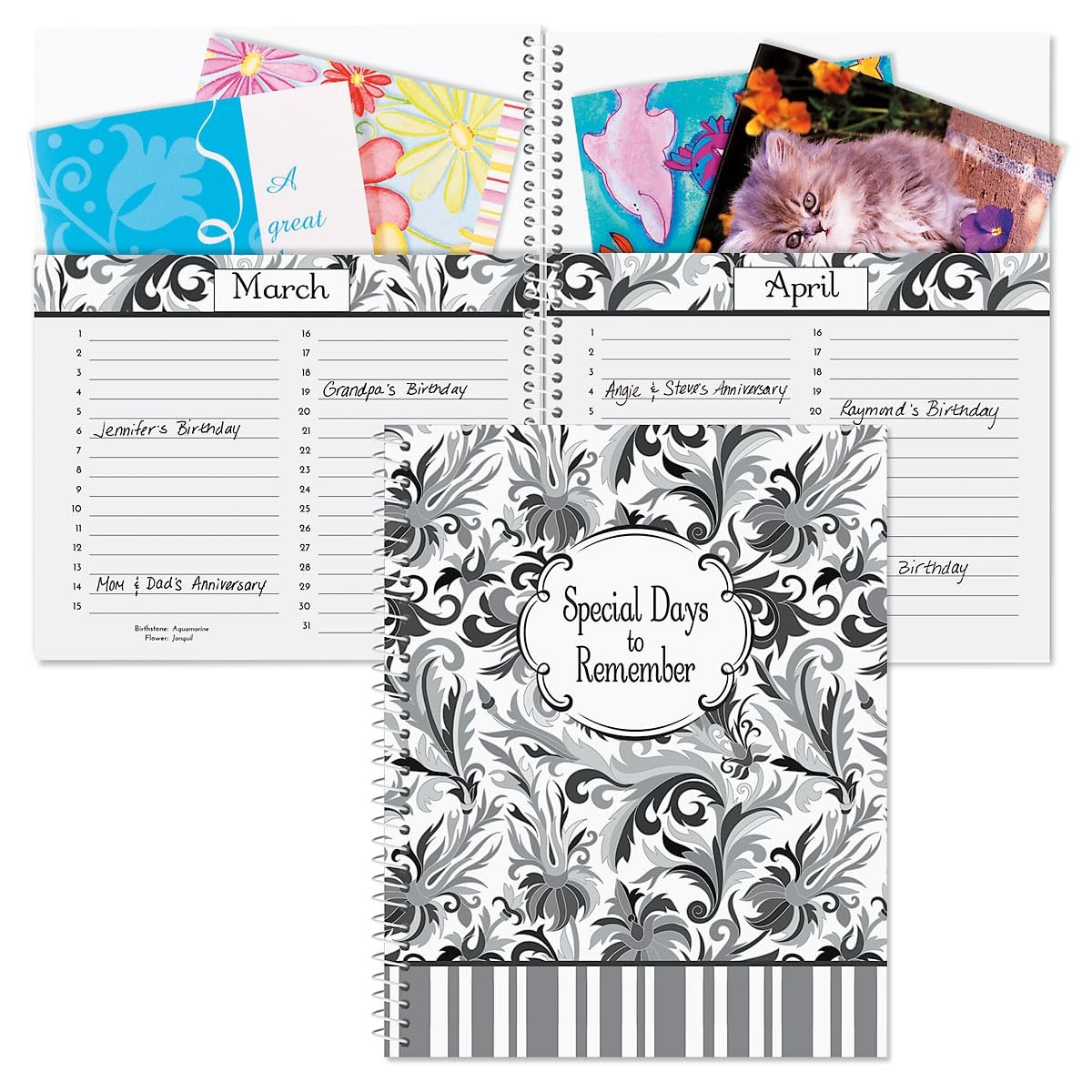 Current Black Elegance Greeting Card Organizer 8 inches X 10 inches,