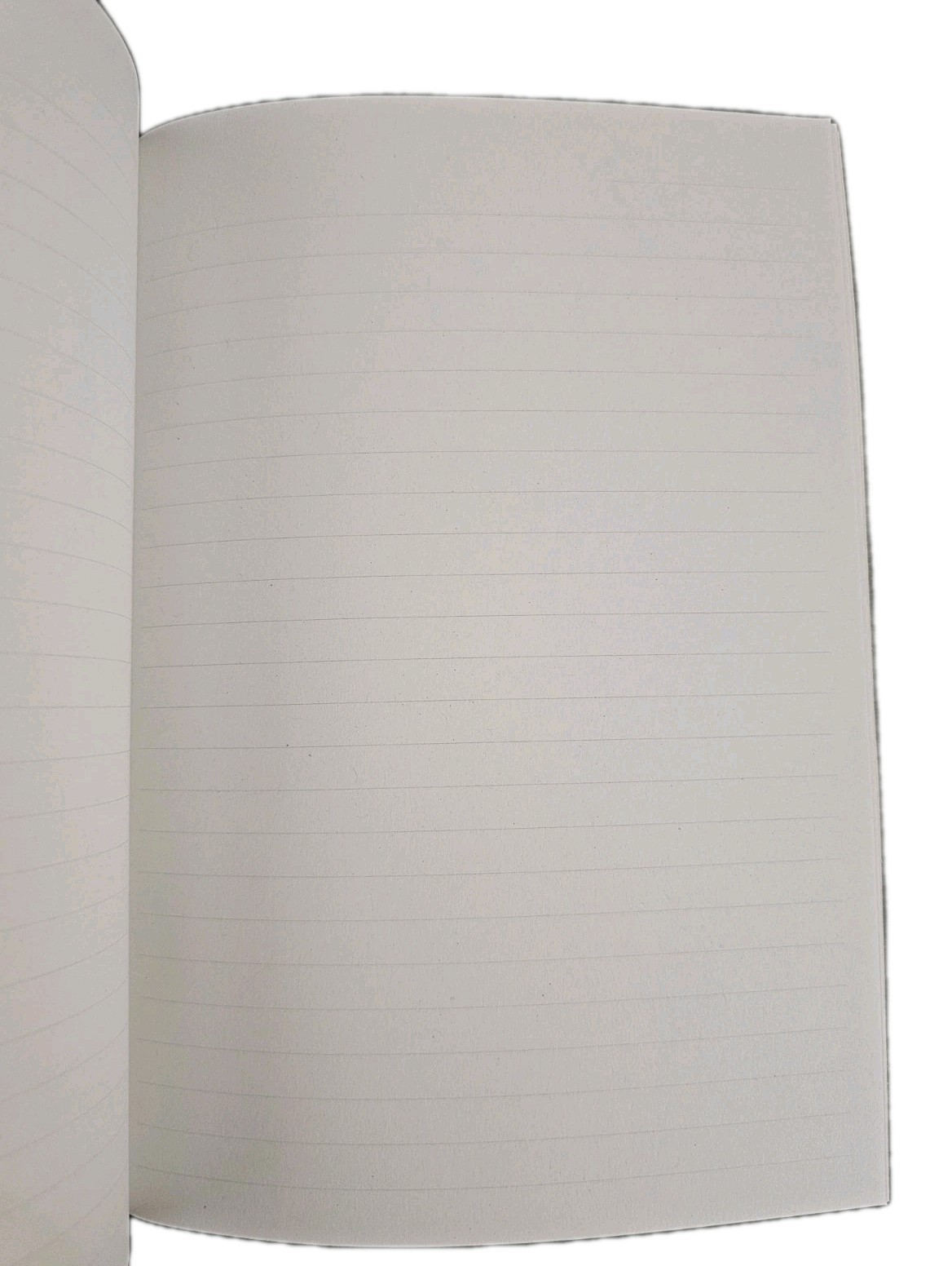Soft Cover Lined Journal Pigion On Skateboard 48 Pages 8.5″ x 6″