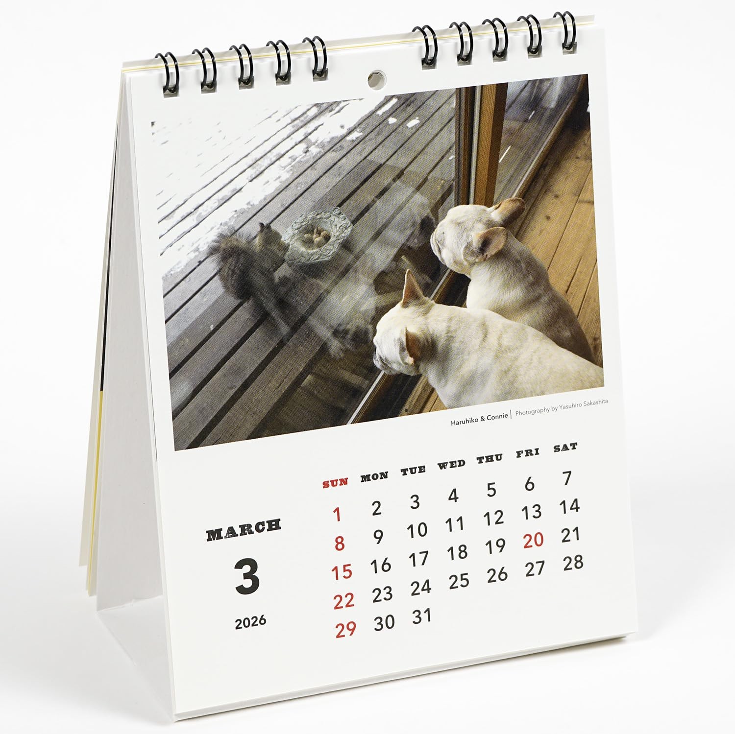 GreetingLife 2026 Calendar Natsuhiko Family C-1690-NA
