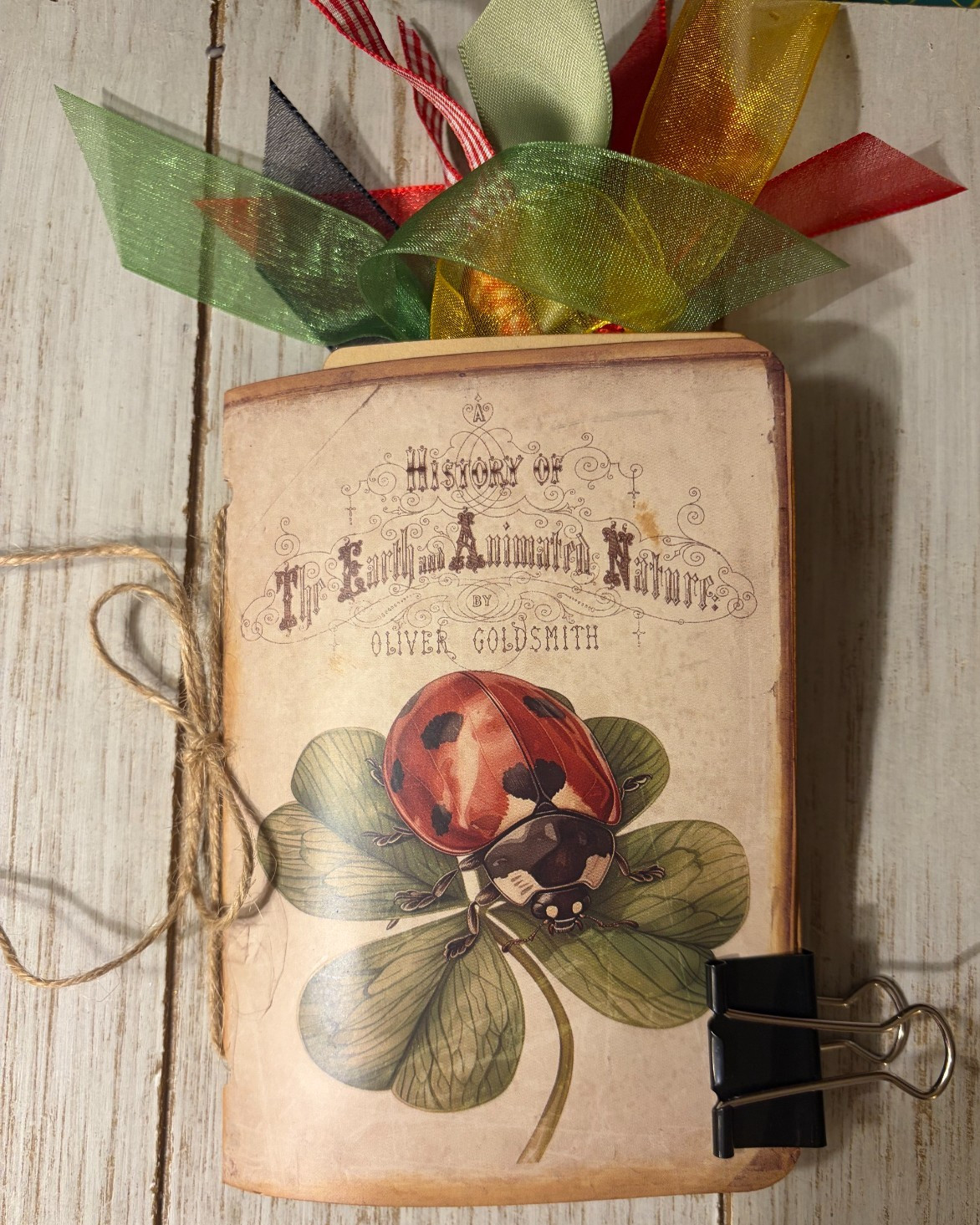 Junk Journal Handmade Booklet Book Vintage Ladybugs Flowers Pockets, Ephemera a
