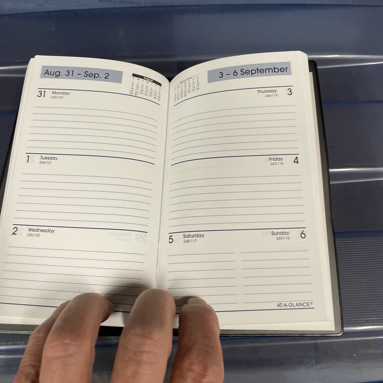 AT-A-GLANCE DayMinder 2026 Weekly Planner Black Pocket 3 1/2 x 6 SK480026