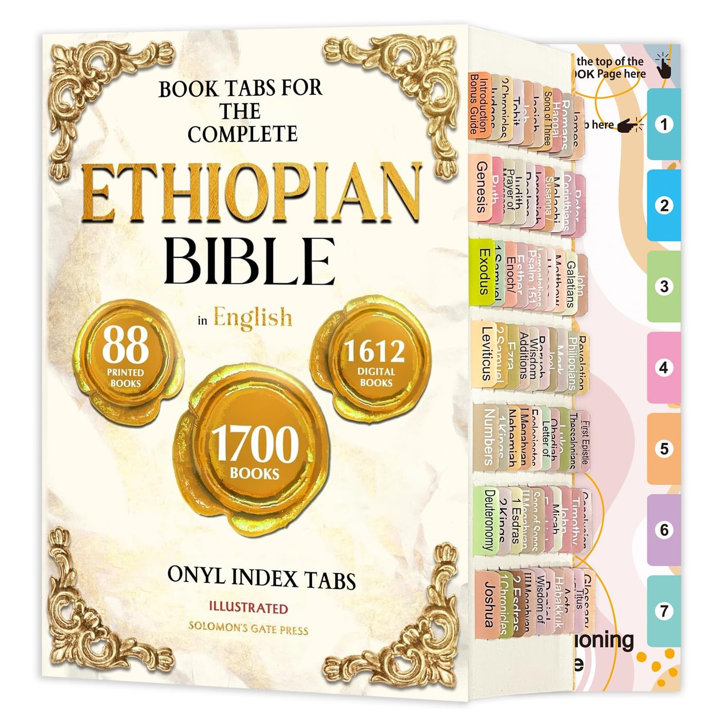 Ethiopian Bible Tabs English 72 Color Coded Laminated 70 Books Chapter Placement