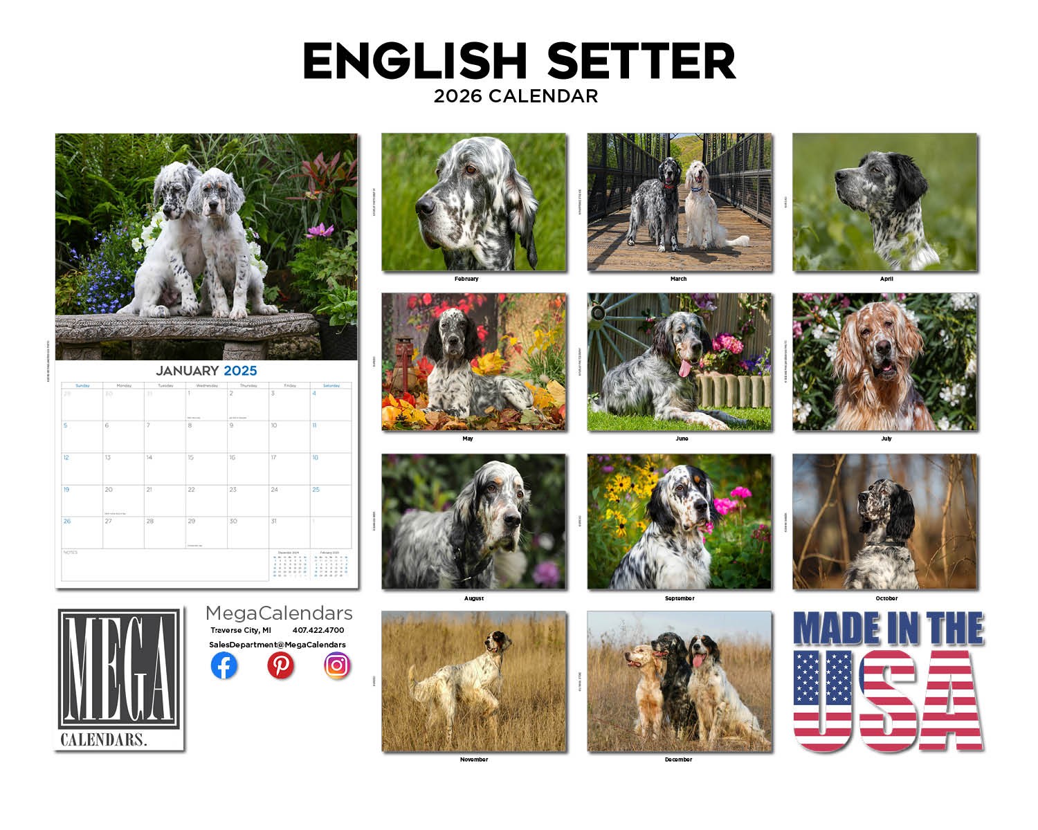 English Setter Dog Breed Calendar 2025 12×18 Made in USA