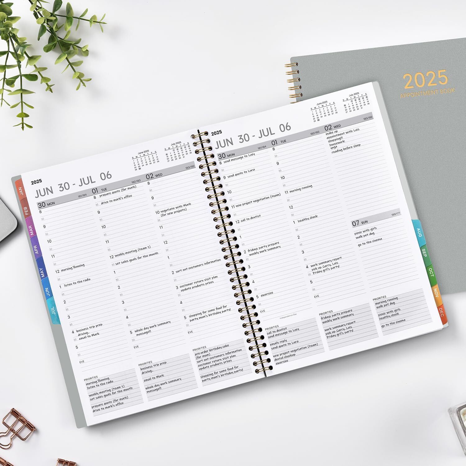 2025 Appointment Book/Planner – Weekly & Monthly, 9″ x 11″, Large, 30-Minute …