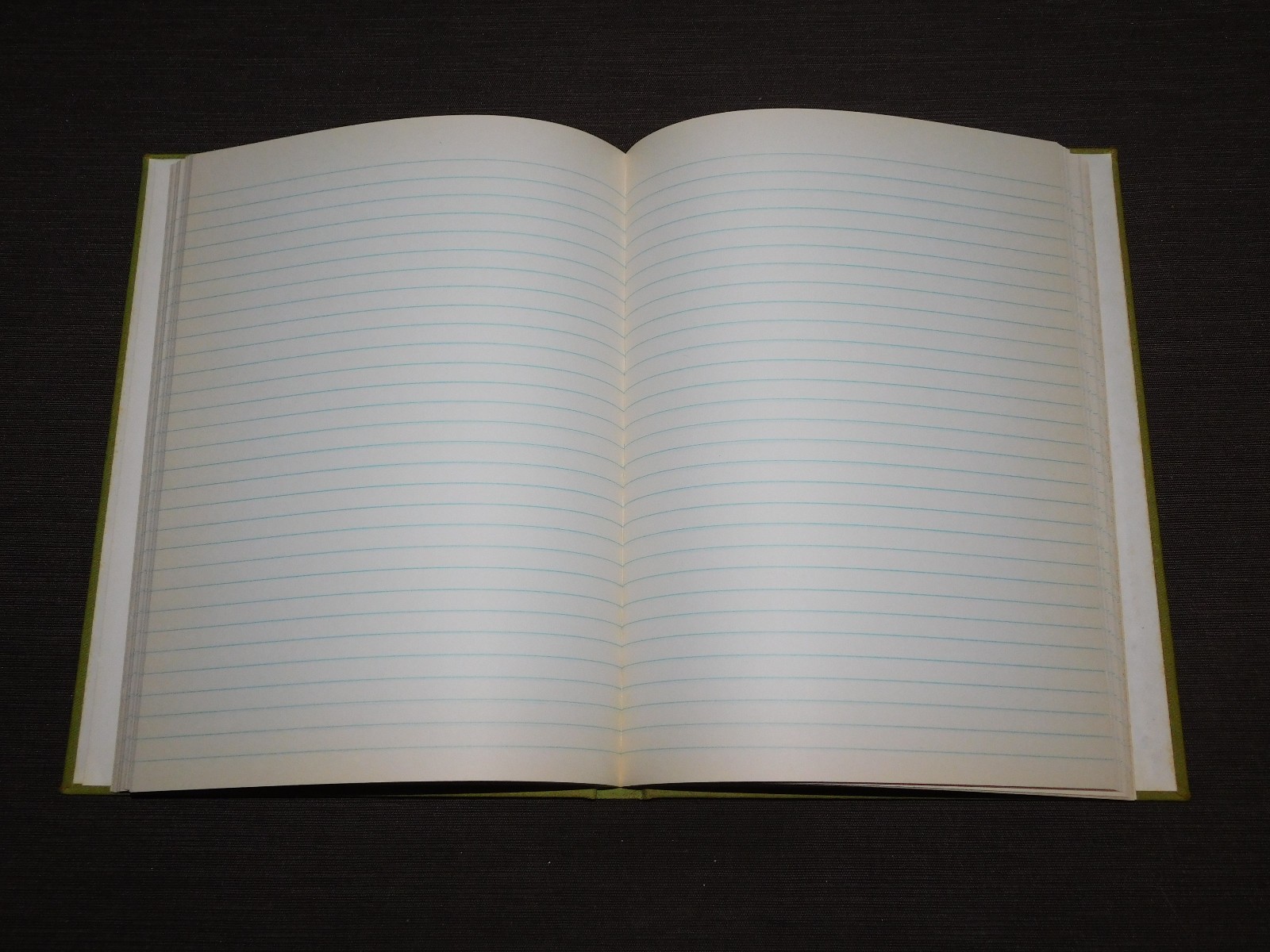 VINTAGE FEDERAL SUPPLY SERVICE RECORD BOOK 10 1/2″ X 8″ UNUSED NEW OLD STOCK