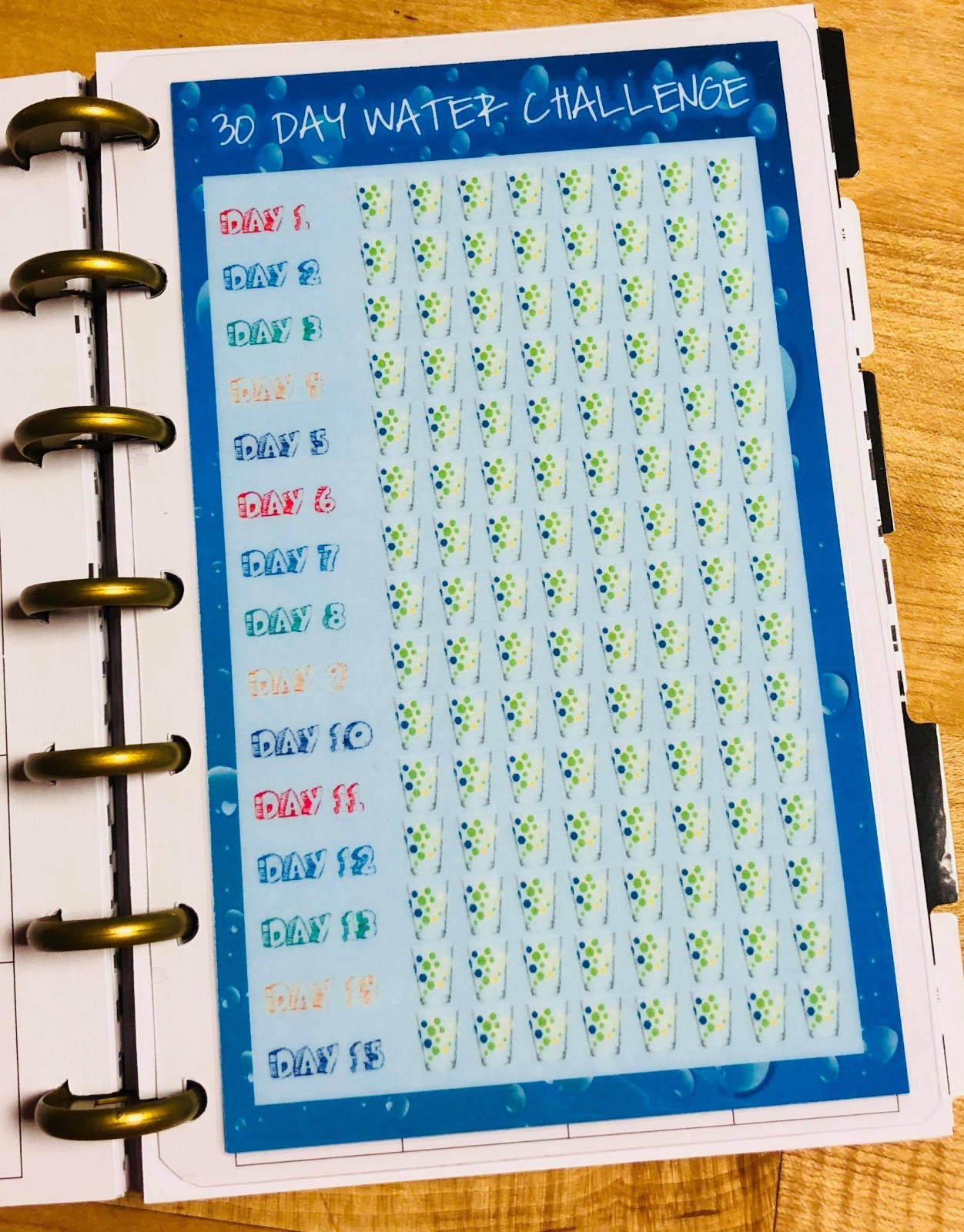 30 Day Water Challenge Dashboard for use with the MINI Happy Planner